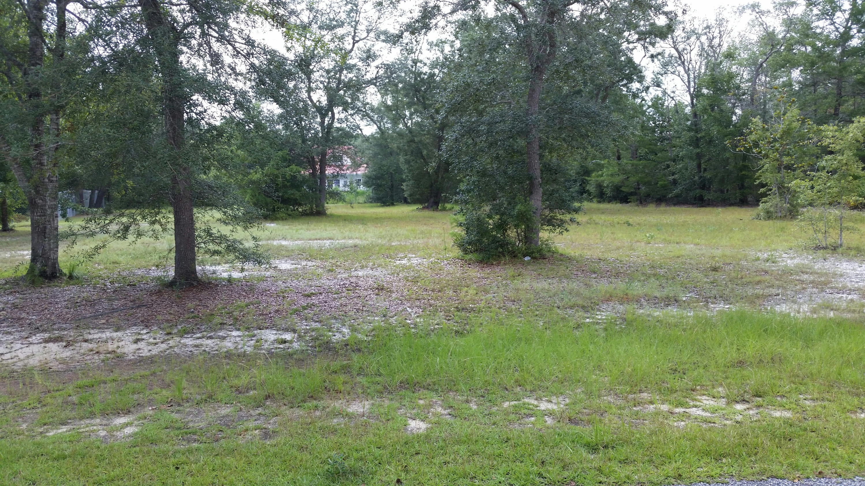 Great! buildable lot OVER 1/2 acre in small subdivision near Niceville. Build your dream home in this quiet neighborhood. Only 8 miles to mid bay bridge hoa dues on $35 annually