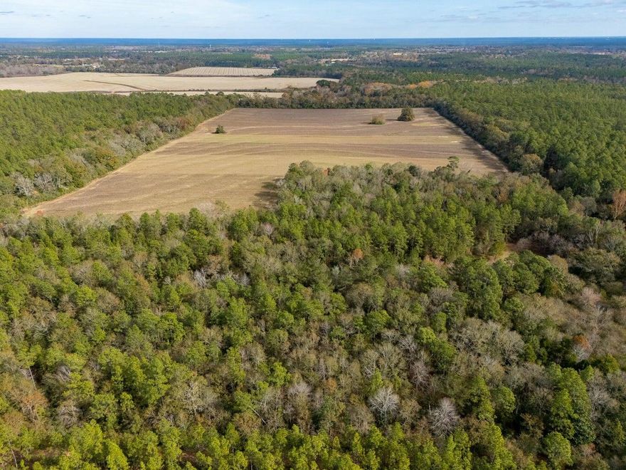 Presenting a rare opportunity to own 80 acres of mostly cleared land in the heart of Baker - a perfect canvas for those seeking a serene, private lifestyle with endless potential. Whether you envision building your dream home, creating the ultimate recreational getaway, or establishing a thriving farm or ranch, this expansive property offers the space, privacy, and versatility you need to turn your vision into reality.This 80-acre parcel is mostly cleared and ready for your plans. With lush open fields, mature trees, and water in the center of the lot, it's a perfect blend of cleared land for farming or building, with natural features that enhance its beauty and functionality. Whether you're looking to raise livestock, create a hobby farm, or just enjoy the freedom and privacy.