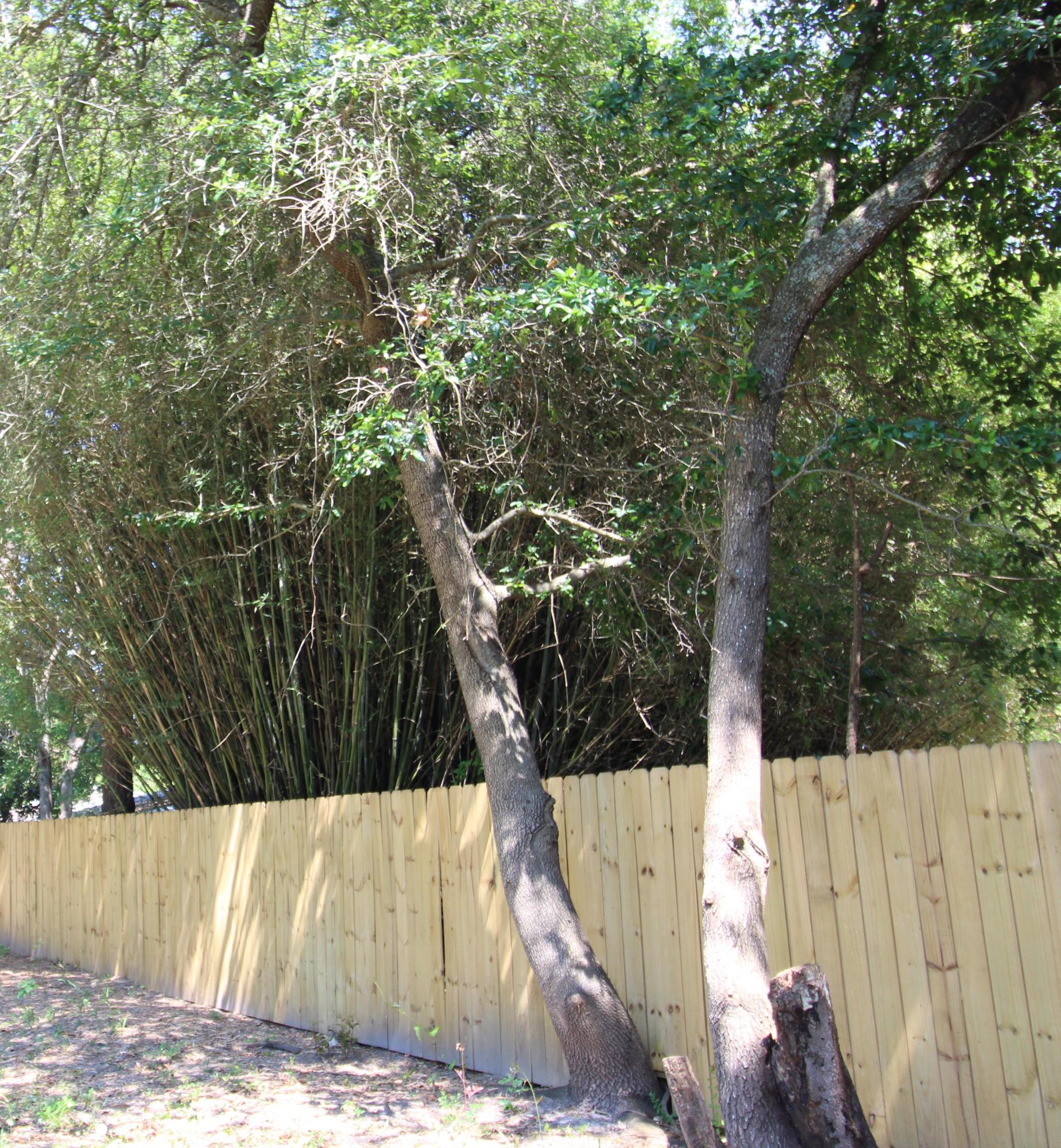 WILDWOOD PARK S/D LOT 3 BLK 2 - Residential