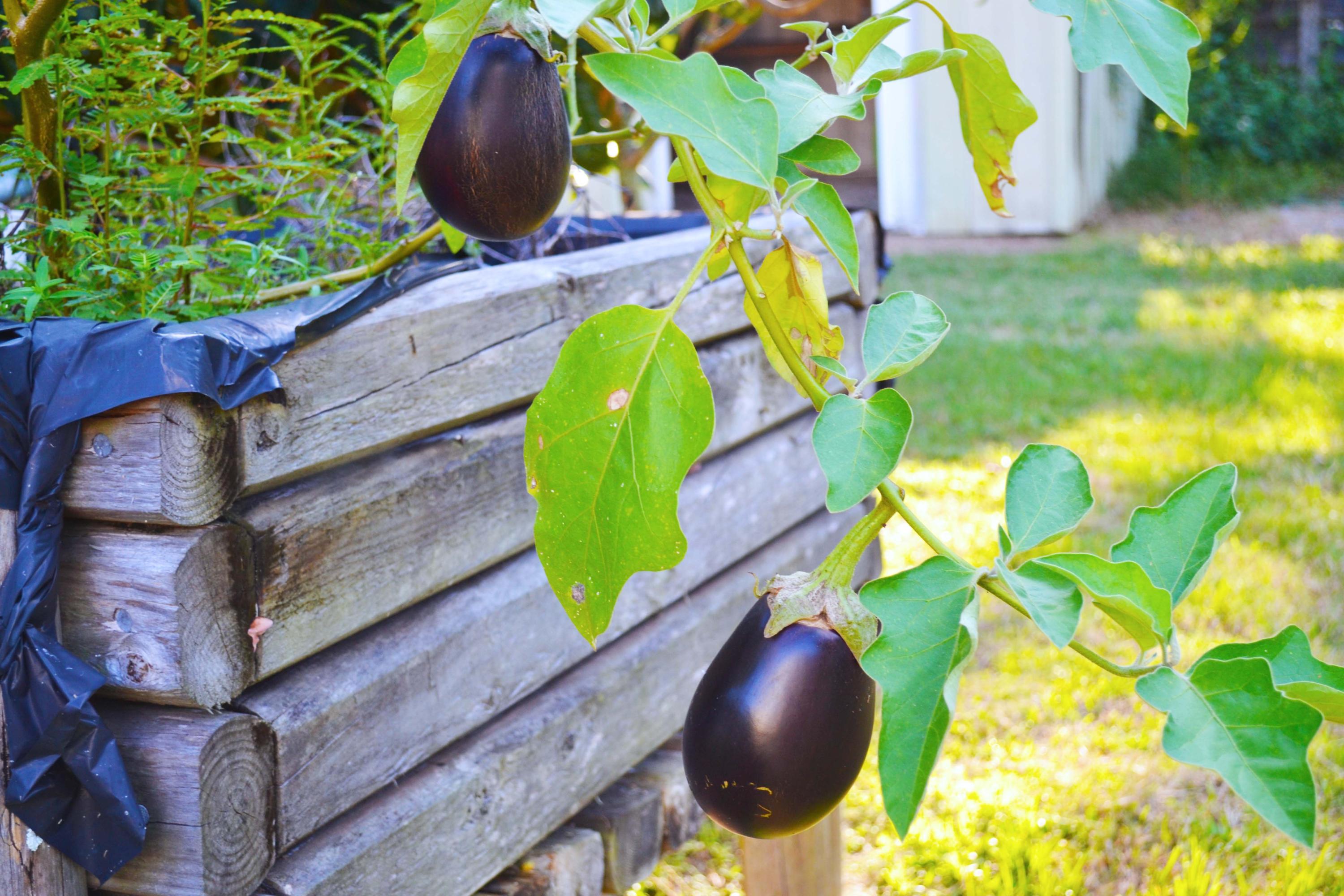 Seminole - Residential