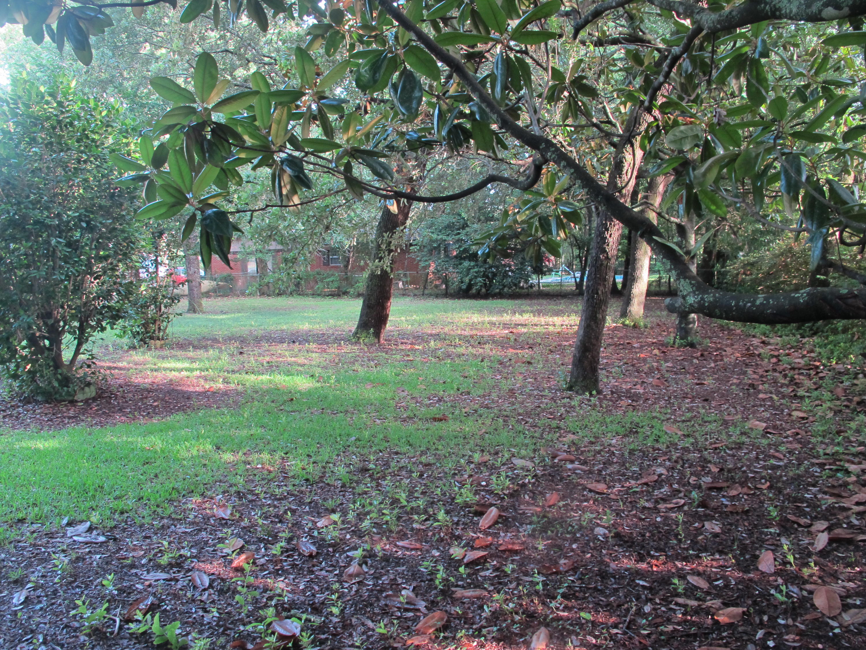 LONGWOOD S/D - Residential