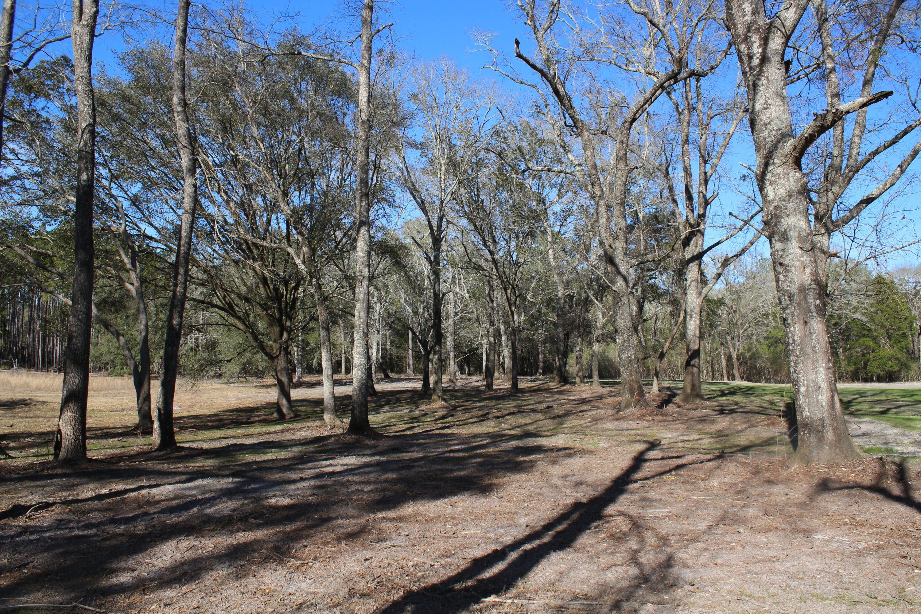 METES & BOUNDS - Land