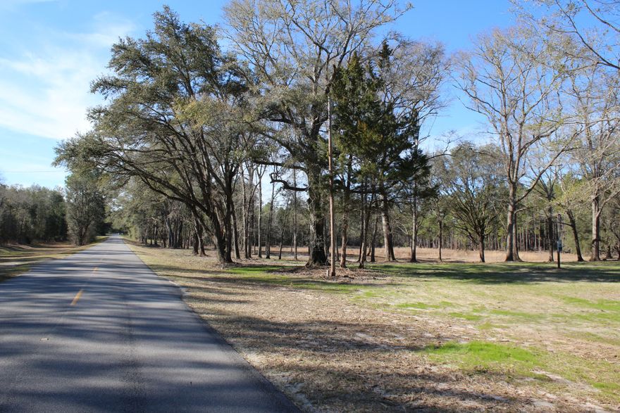 Beautiful 5.91 acres, located just over the Walton County line and less than 10 minutes drive to downtown DeFuniak Springs. Large oaks, cedars and magnolias remain on this level property on a paved road. The land has been partially cleared, all underbrush cleaned out, and grass seed has been put down. Additionally, you'll find electric in place, an existing septic tank (not guaranteed) and a deep well. Deep well needs repair or replacing so no value has been given. A wet weather pond could be converted to a proper pond, enhancing the view. There are portions in flood zone X and some in AE (see the survey details in documents.) You might consider applying for a LOMA letter to elim AE. Ready for your new build, manufactured home or RV, this is a fantastic opportunity you won't want to mis