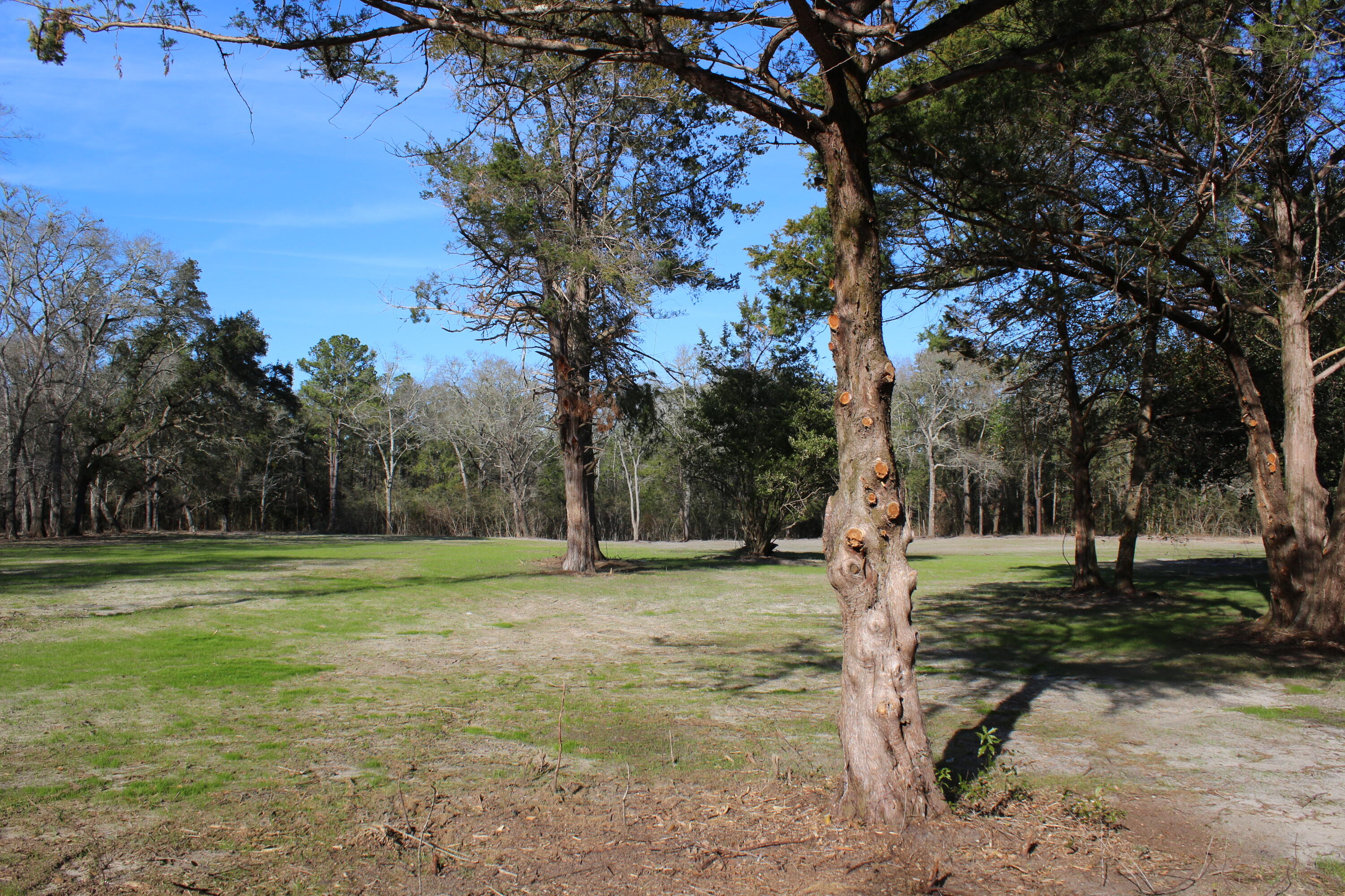 METES & BOUNDS - Land