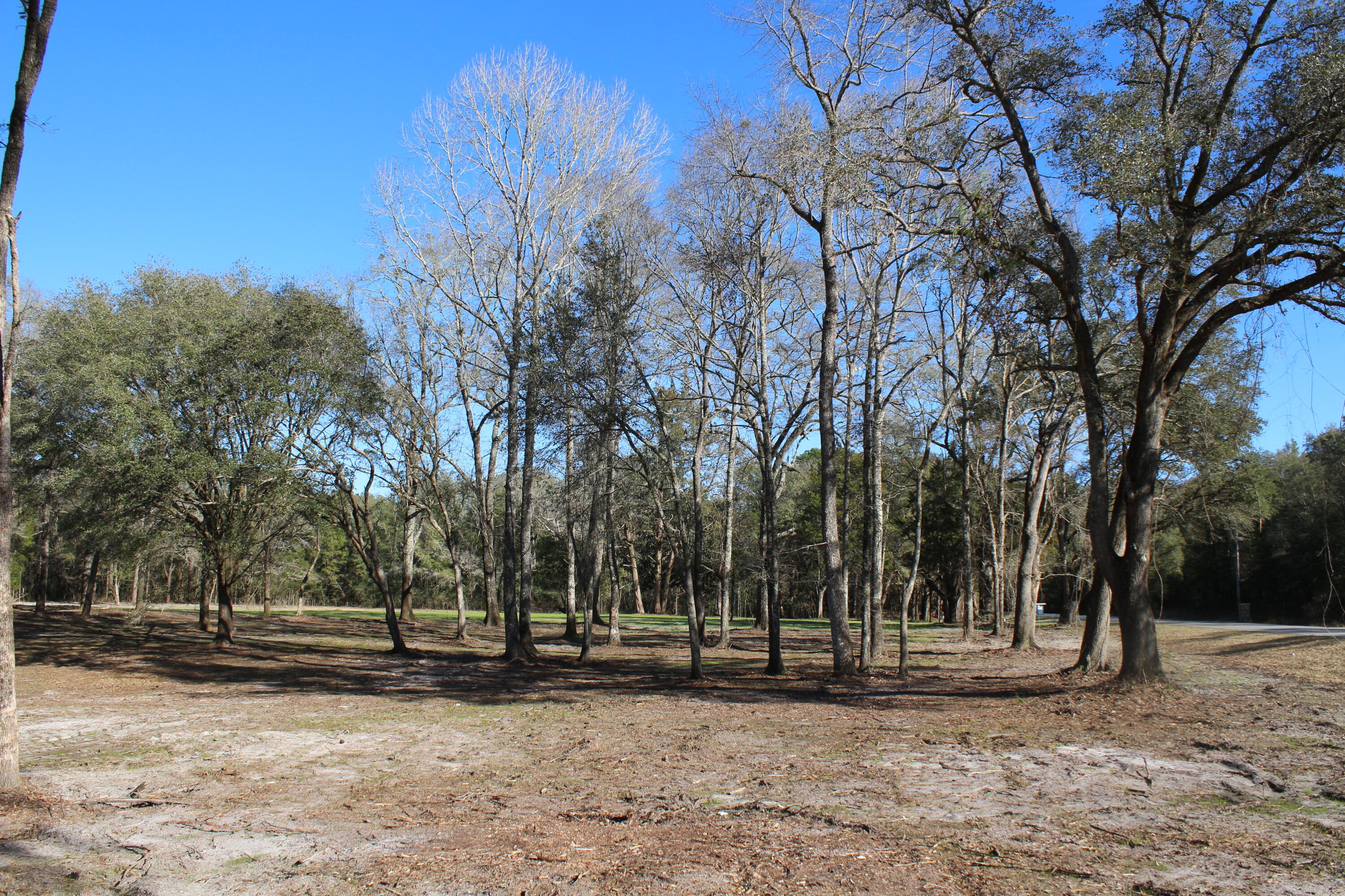 METES & BOUNDS - Land