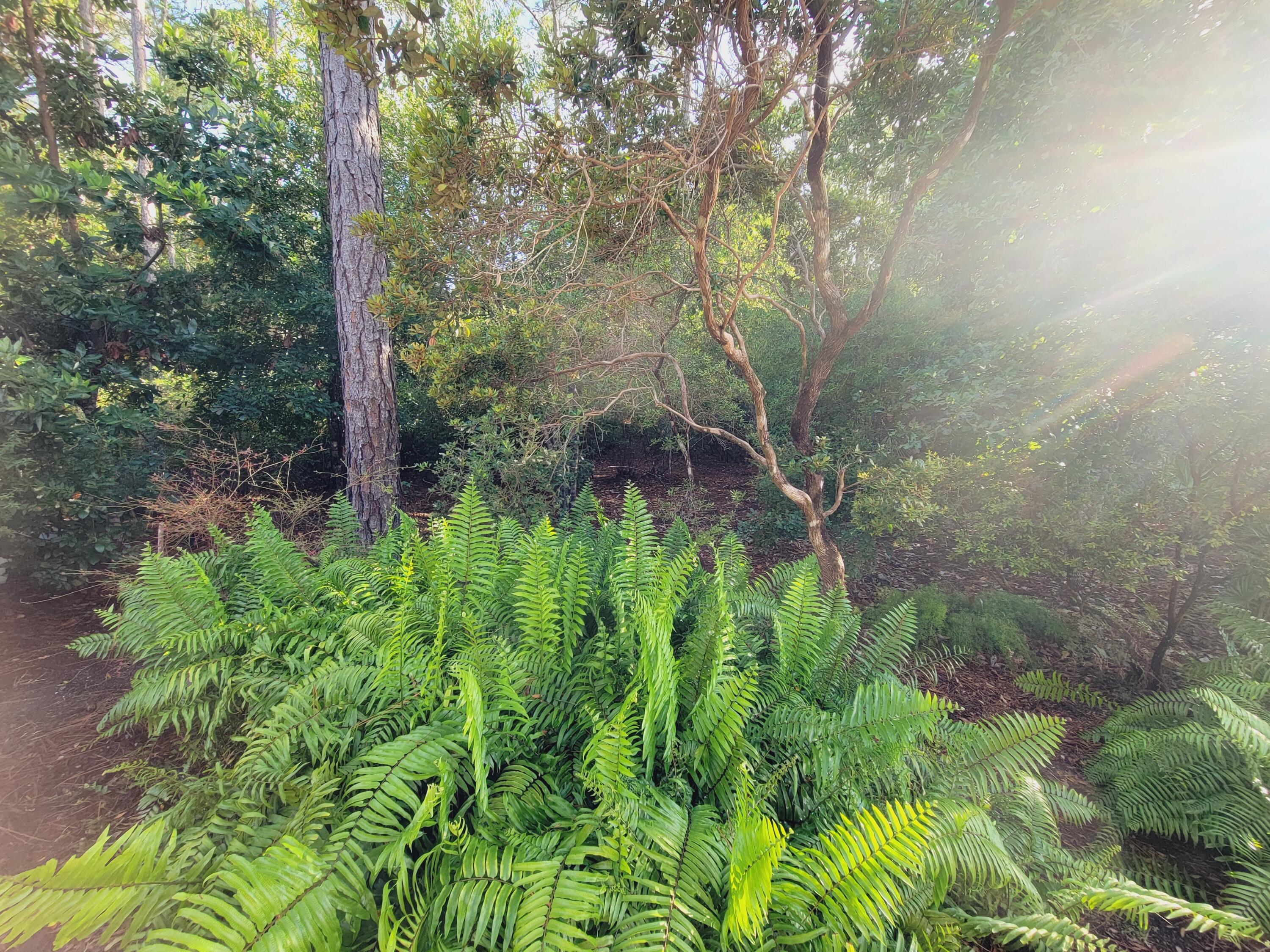 Harstvedt Plantation - Residential