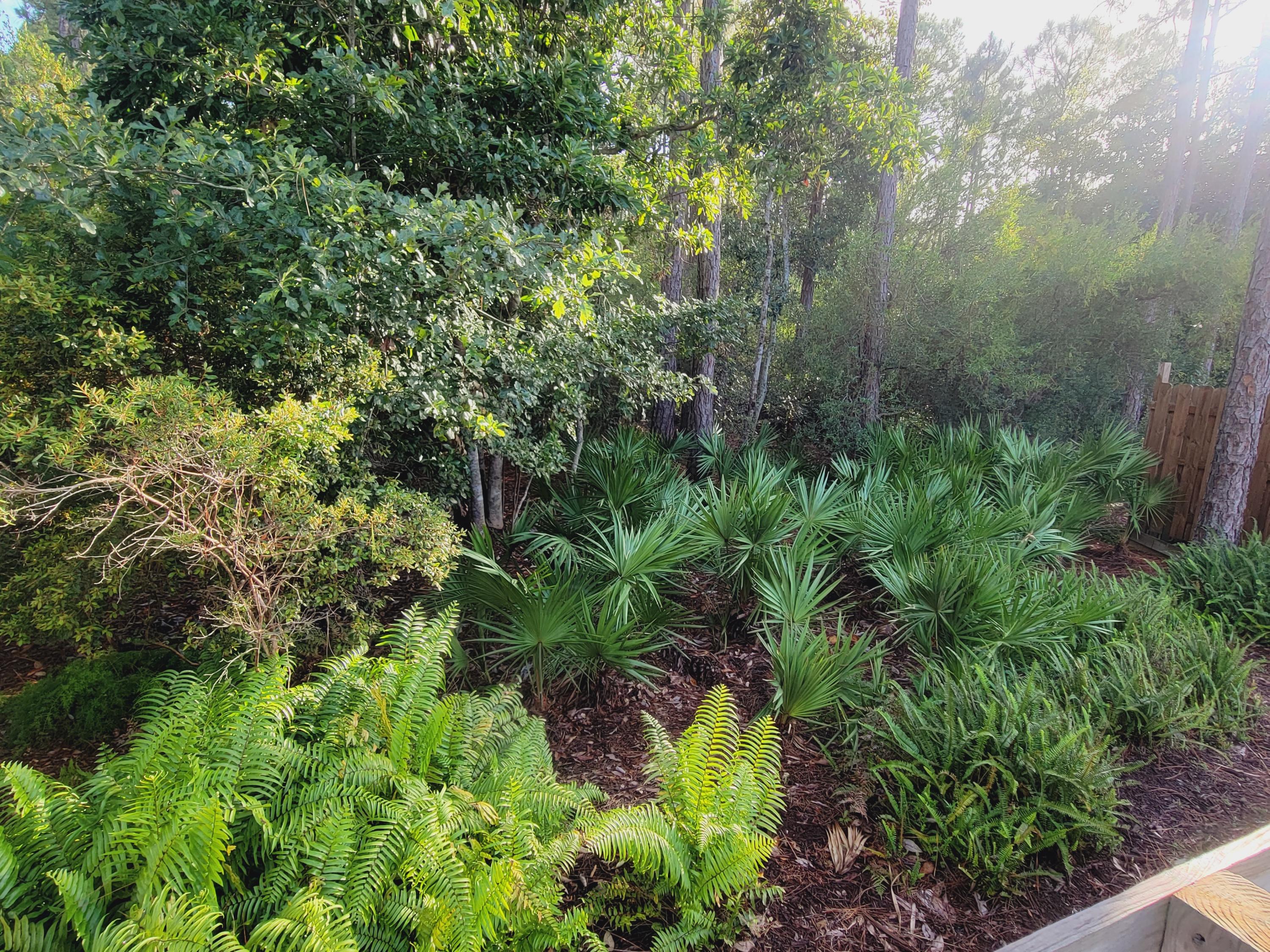 Harstvedt Plantation - Residential