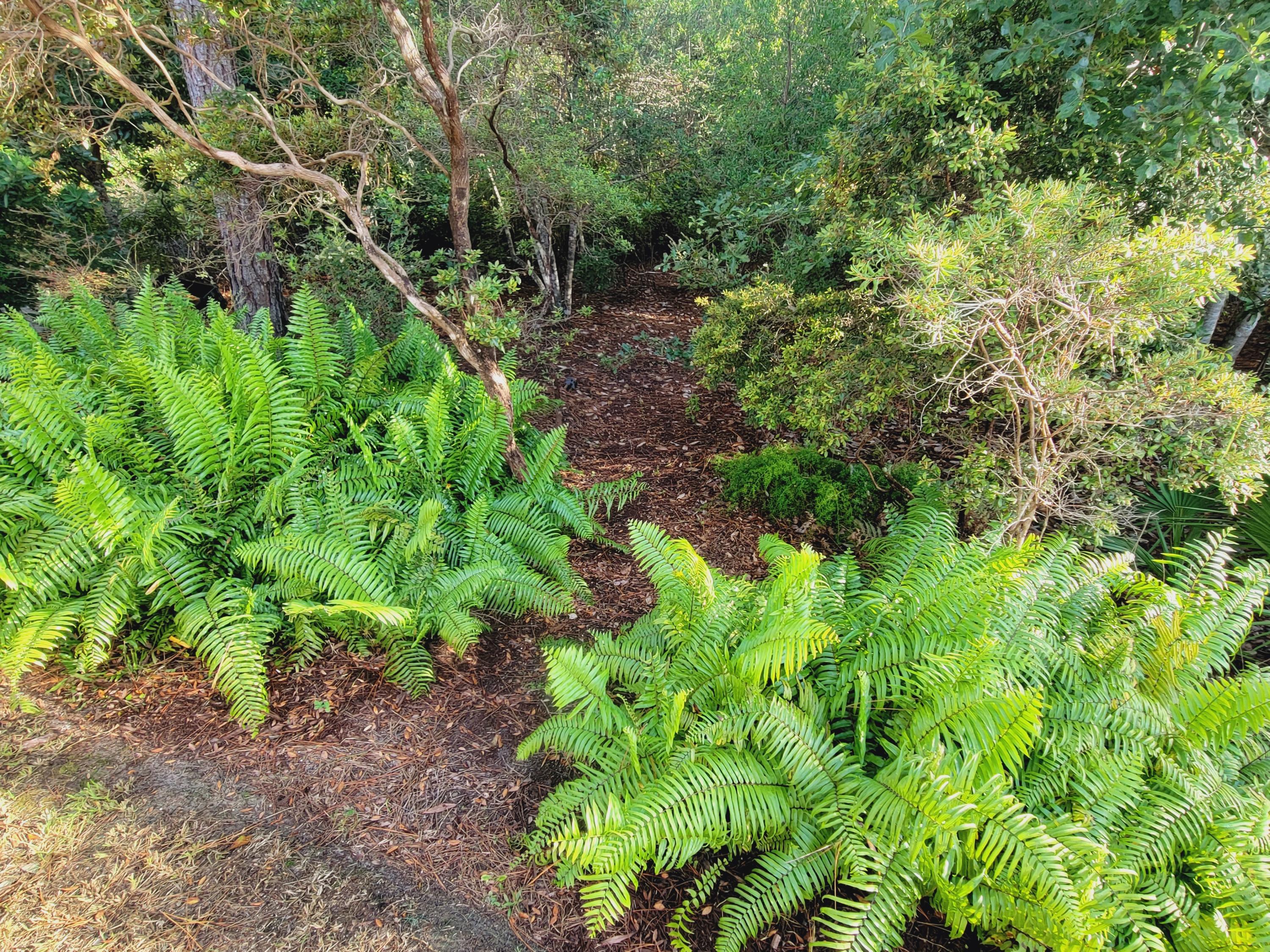 Harstvedt Plantation - Residential