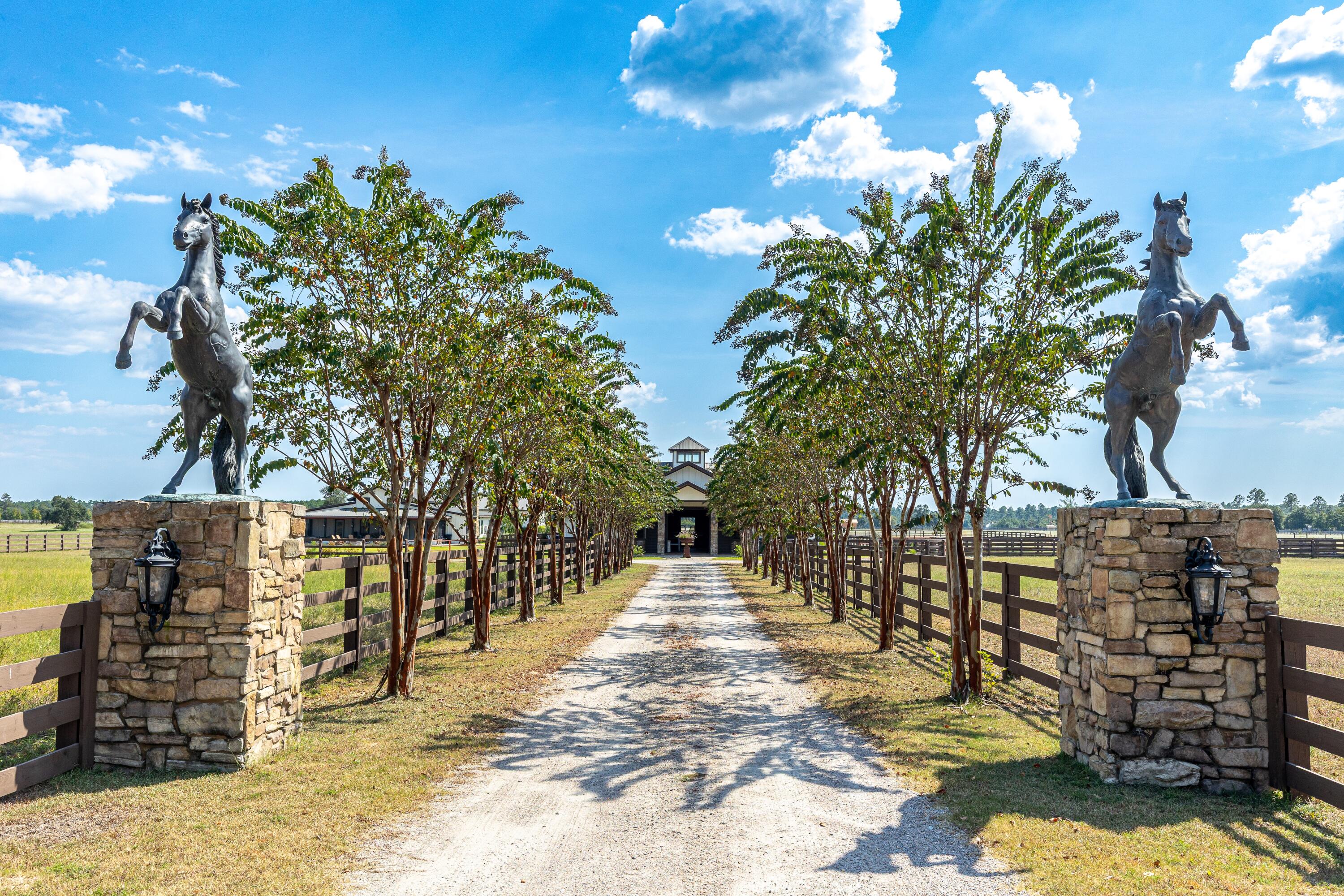 STABLES AT SANDY PINE - Farm