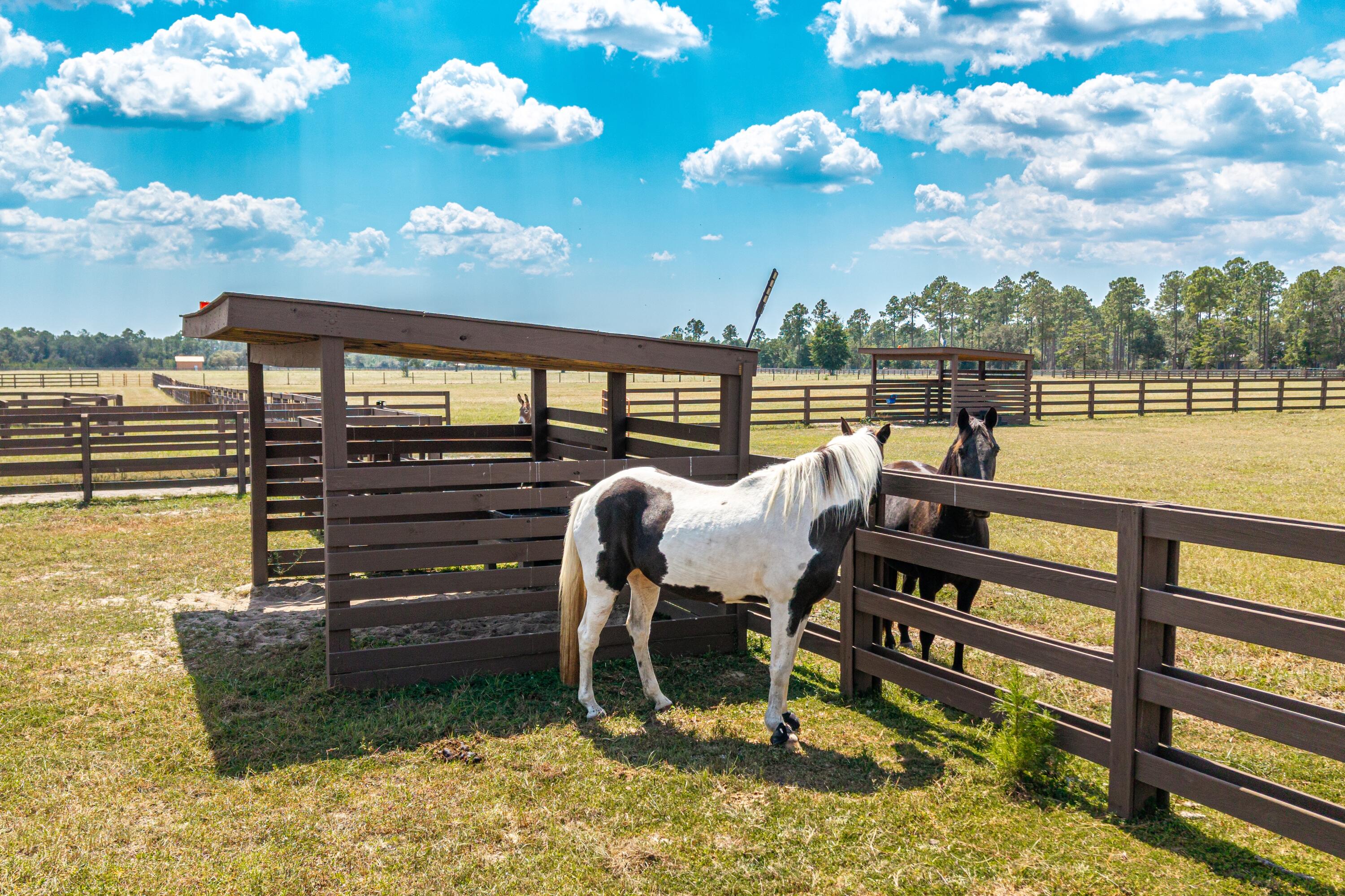 STABLES AT SANDY PINE - Farm