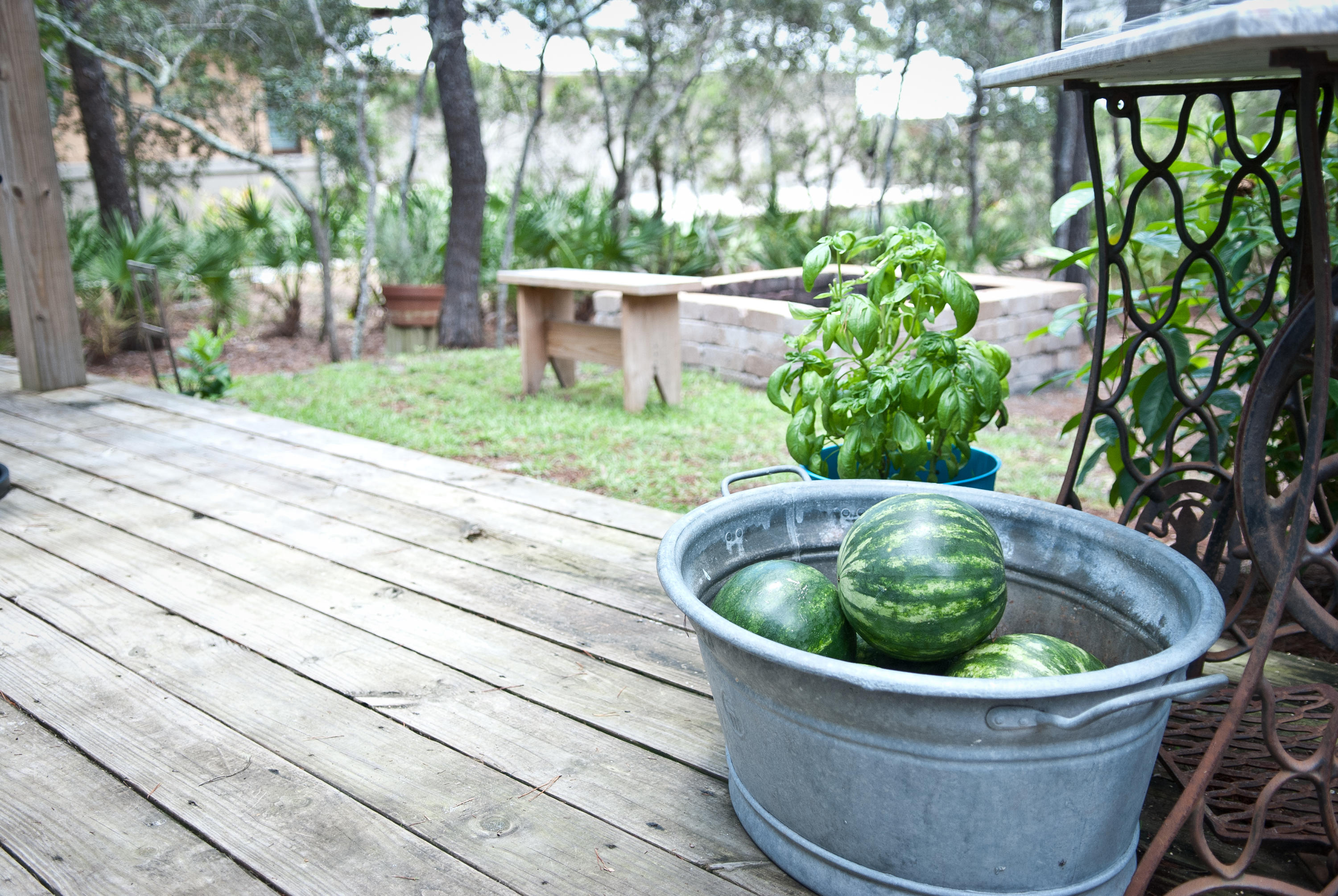 PINES OF BLUE MOUNTAIN - Residential