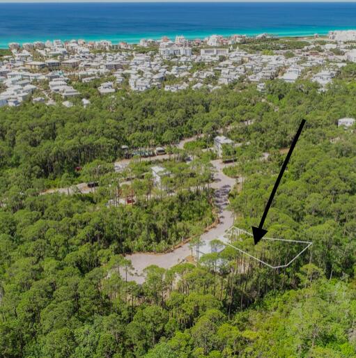 DEEDED BEACH ACCESS south of Hwy 98 between Rosemary and Aly's Beach. This beautiful gated community has a community pool, deeded beach access and access to Seacrest Beach/Rosemary Beach biking paths and trails with NO BUILD OUT TIME! This lot backs to preserve area. Seller has plans and survey that can be provided with the purchase price.