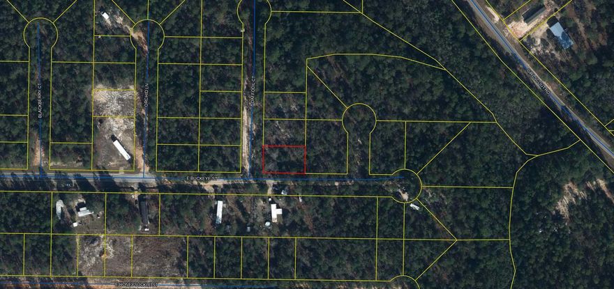 Nice corner wooded lot in Mossy Head ready for your new home.  Mossy Head is a growing community and parcel in centrally located to  local attractions.  Blackstone Golf Course is just down the road !  Property will require septic and tap fee is due.   No Survey on File.