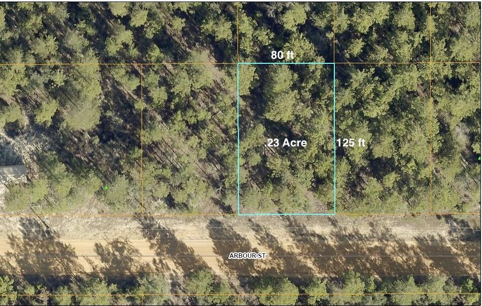 Approximately .23 of an acre between DeFuniak Springs and Mossy Head. Mobile homes are allowed. There's minimal restrictions & no HOA. There are no existing utilities but power & public water (tap fee due) are available at the street. The property is Flood Zone X. Per the Walton County GIS mapping, the property does not appear to have wetlands. Easy access to the I-10 & CR 285 south. You will be approx. 45 minutes to the beautiful white sandy beaches of the Emerald Coast.