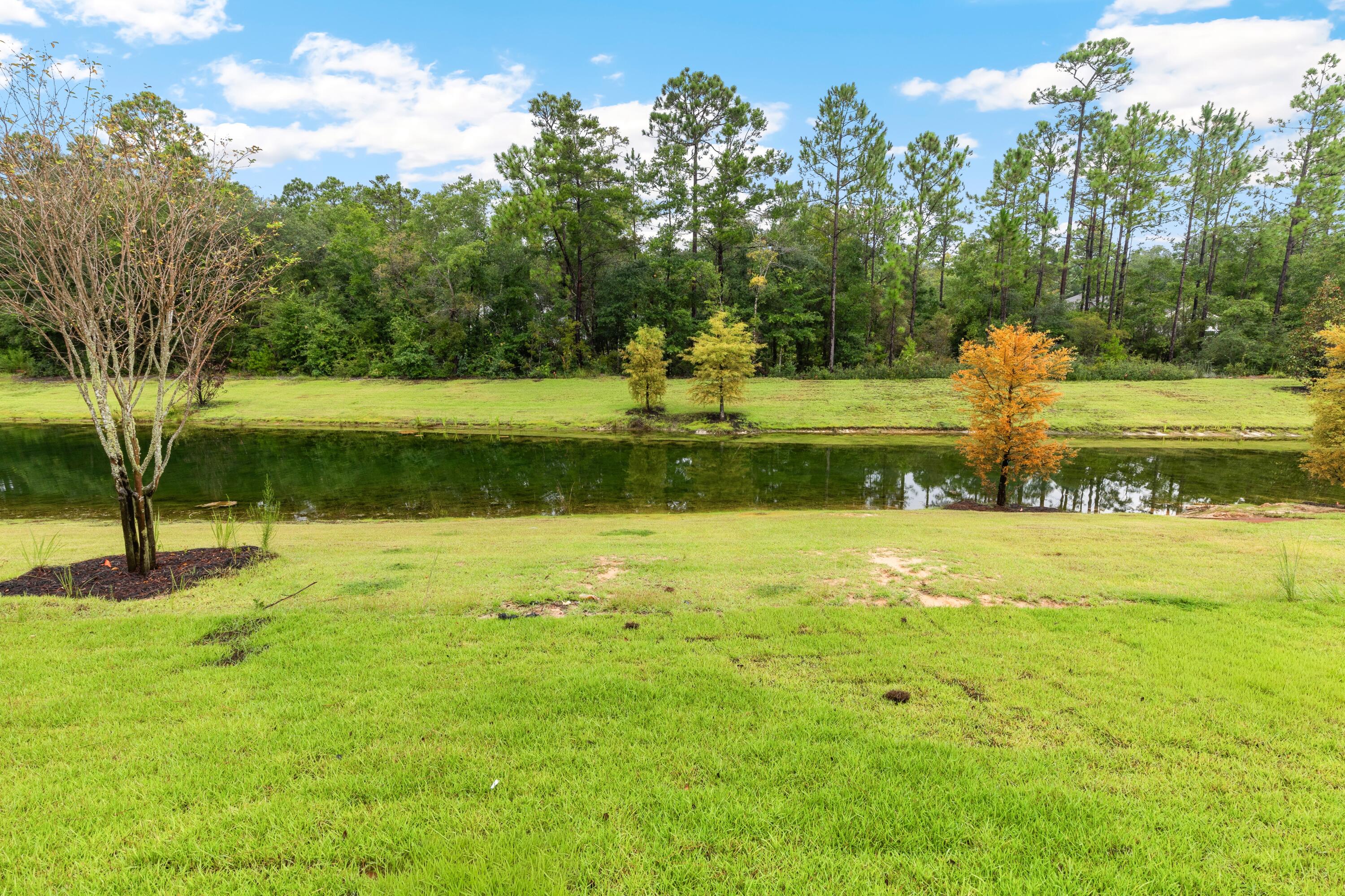 BEAR CREEK COTTAGES - Residential