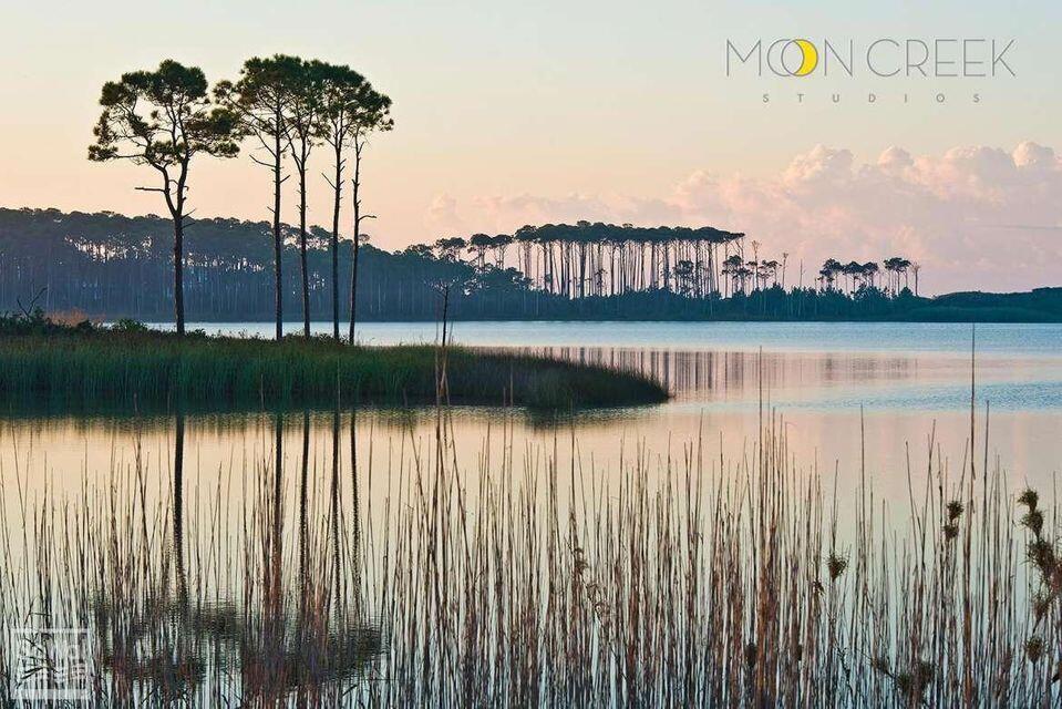 The Preserve at Paradise Cove - Residential