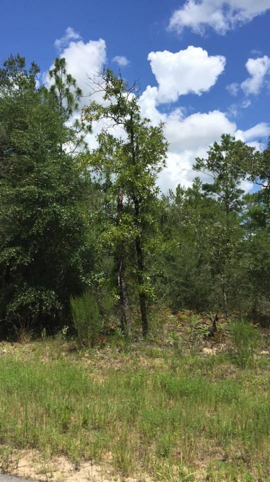 First Addition to Oakwood Estates, Unit 5 of Oakwood Hills - Land