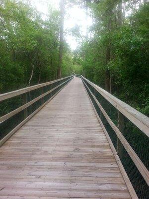 WALTON OAKS - Residential