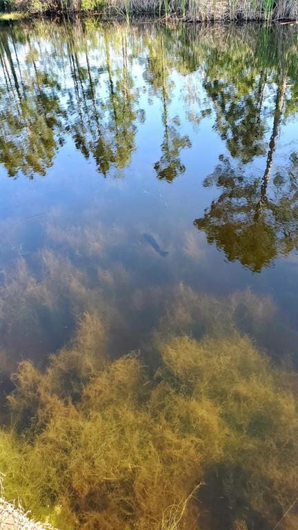 HARBOUR TOWNE - Residential