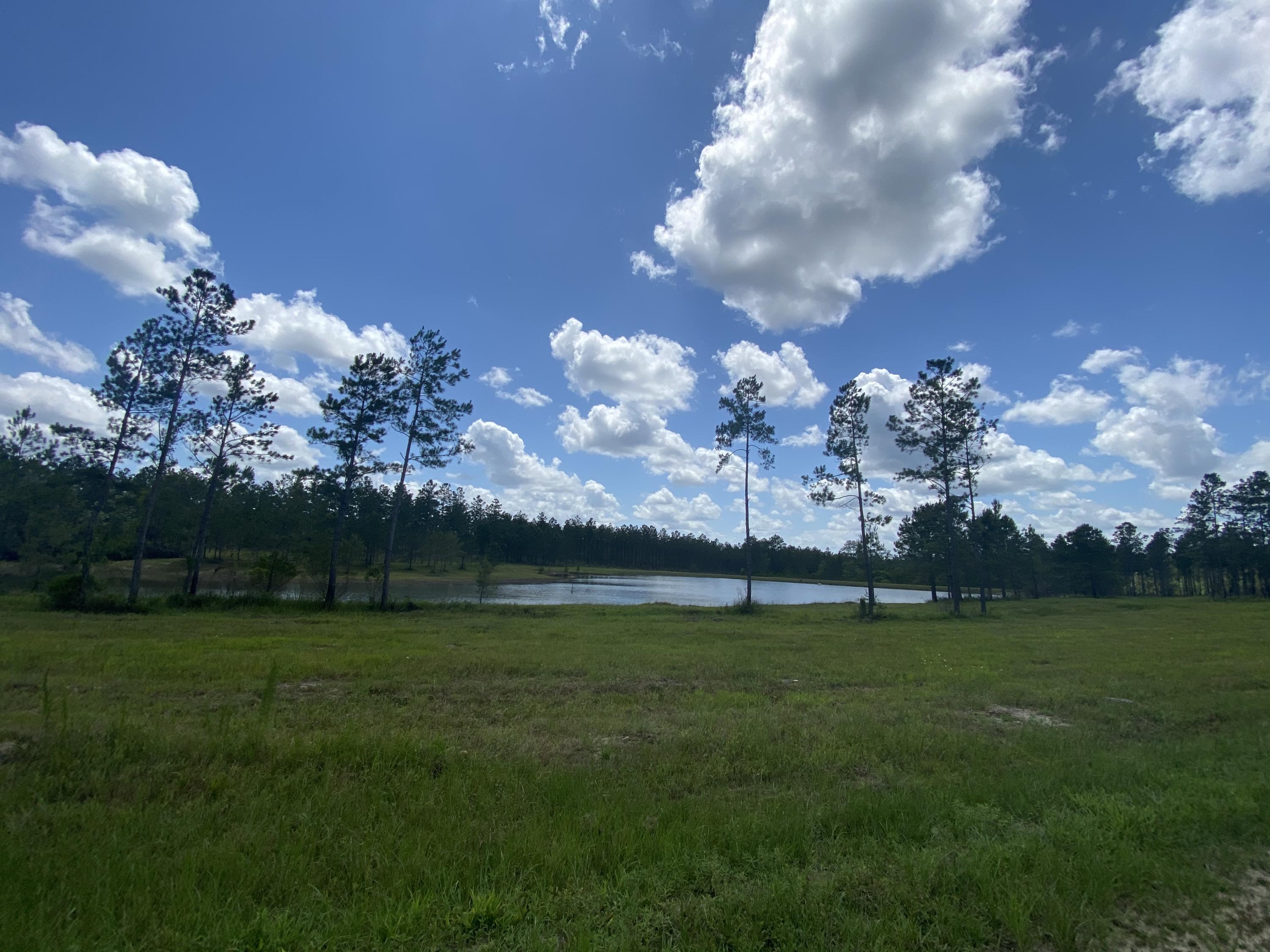 WALTON PLANTATION - Land