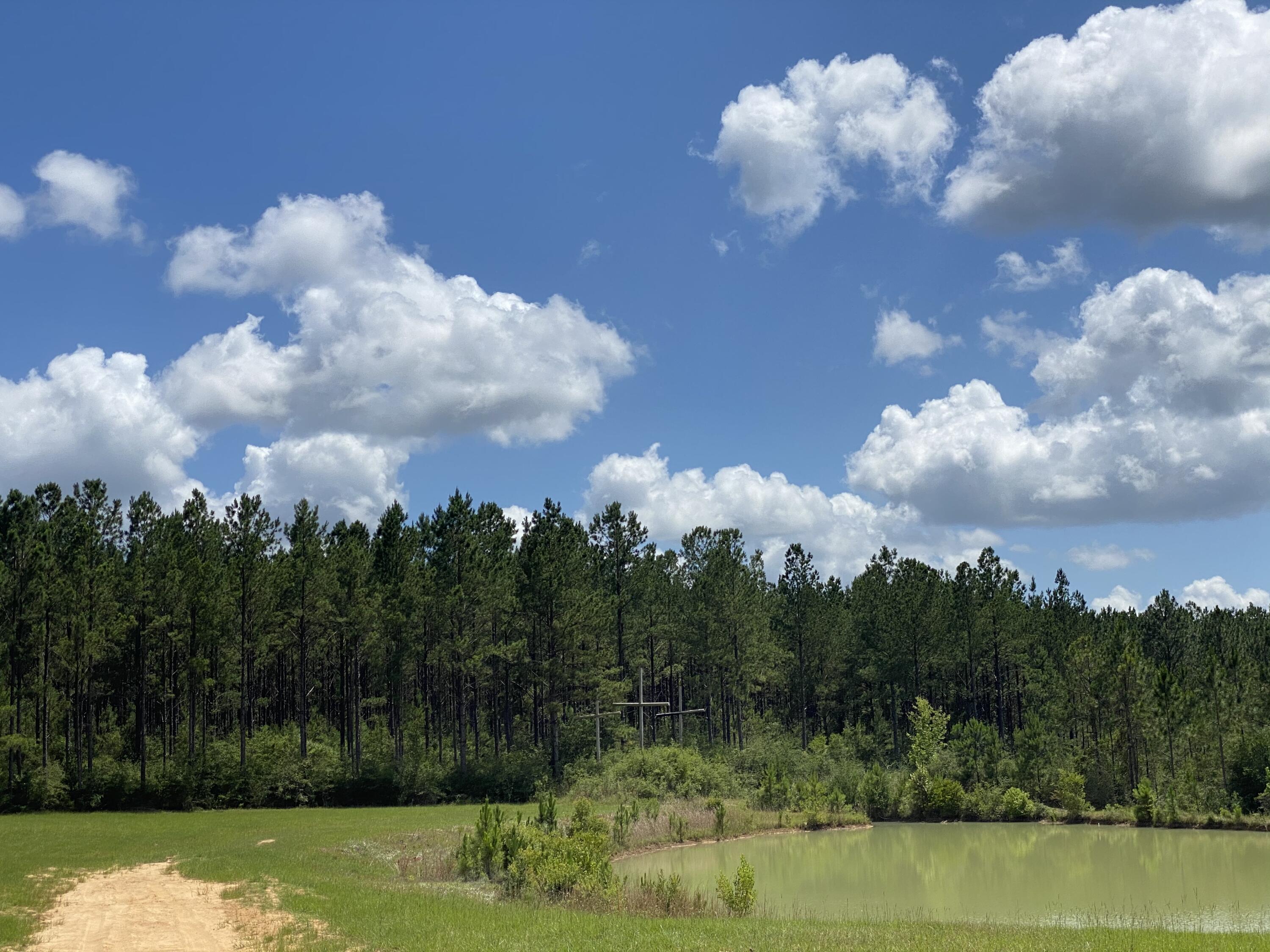 WALTON PLANTATION - Land