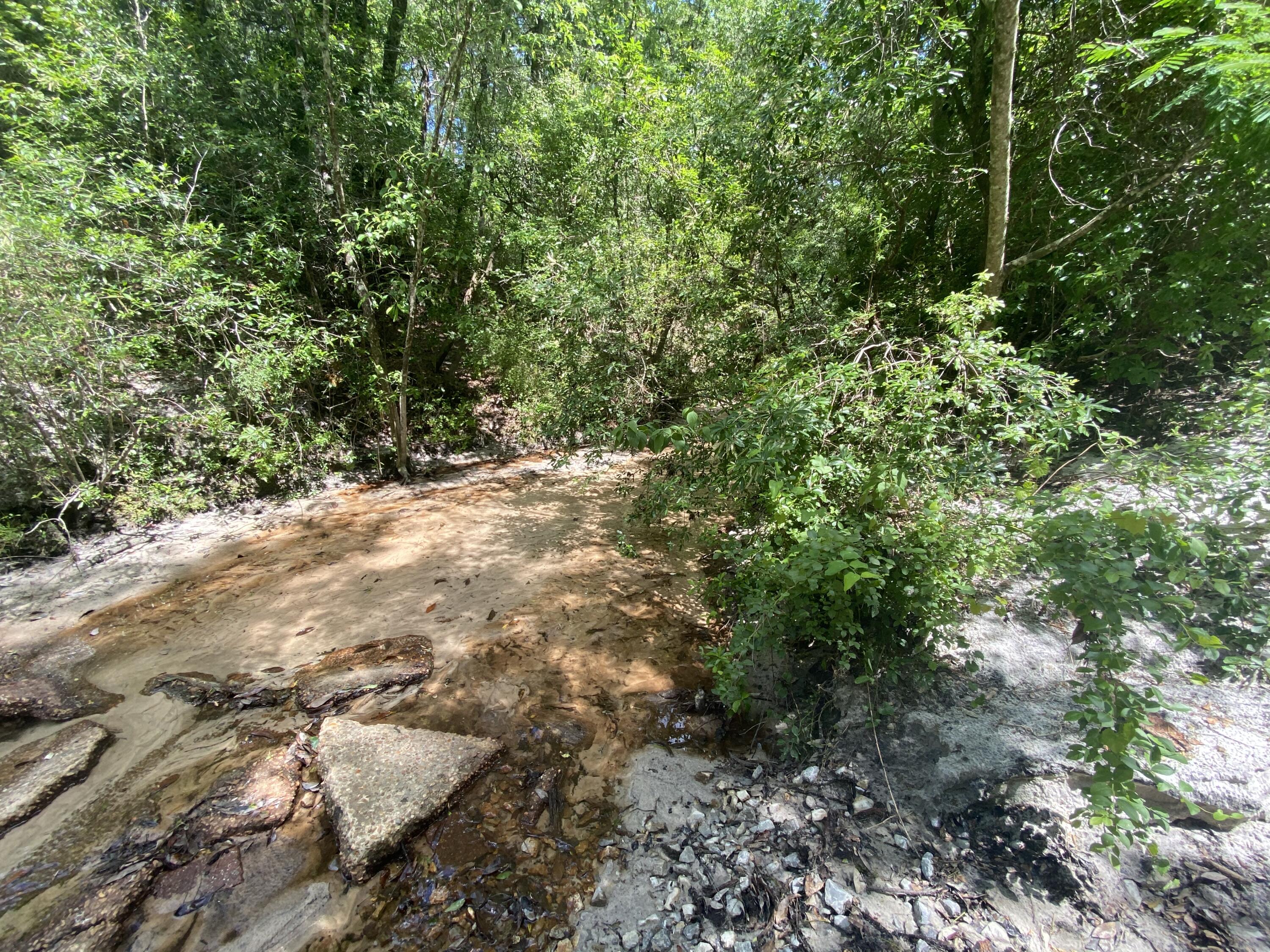 WALTON PLANTATION - Land