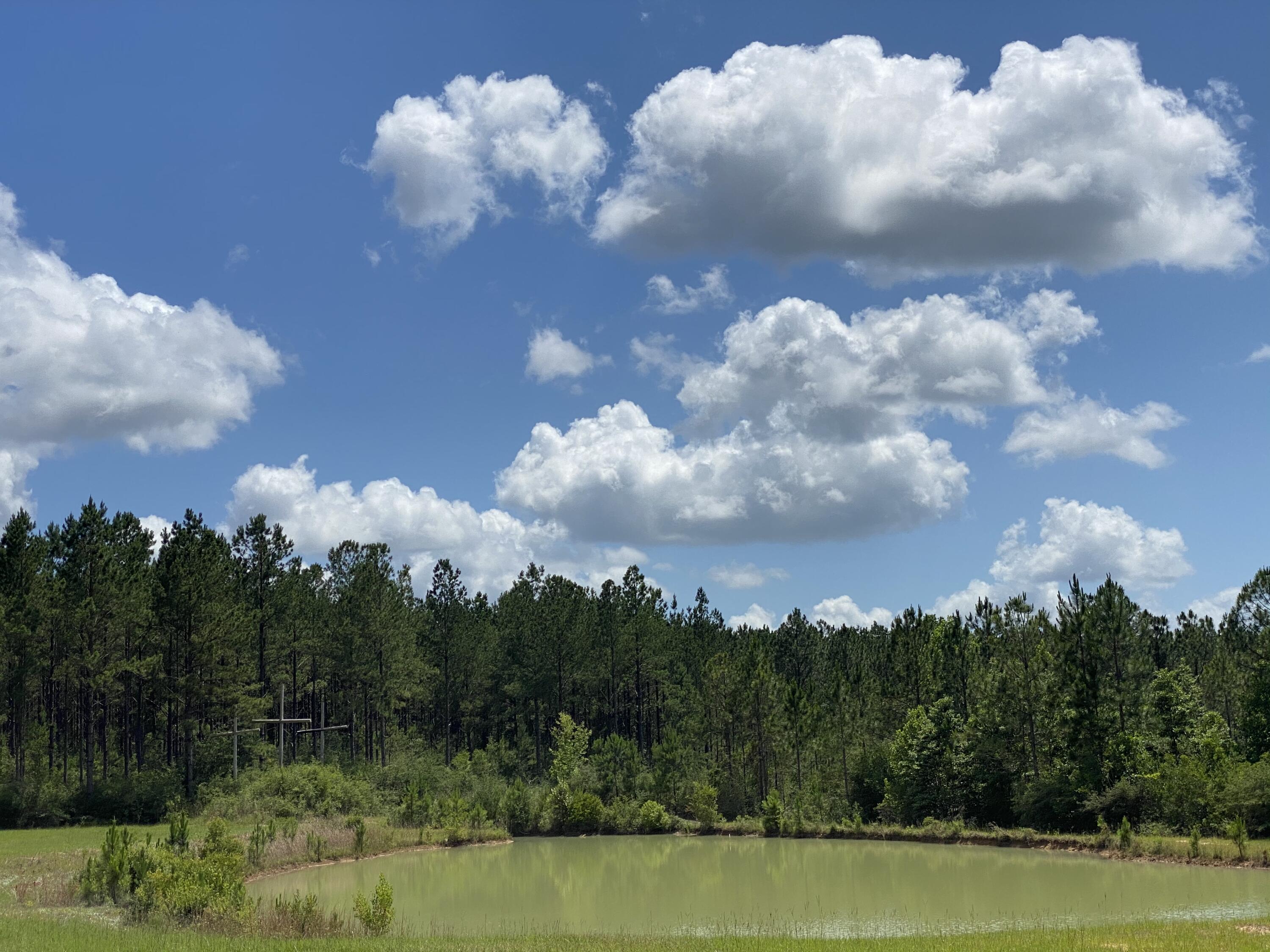 WALTON PLANTATION - Land