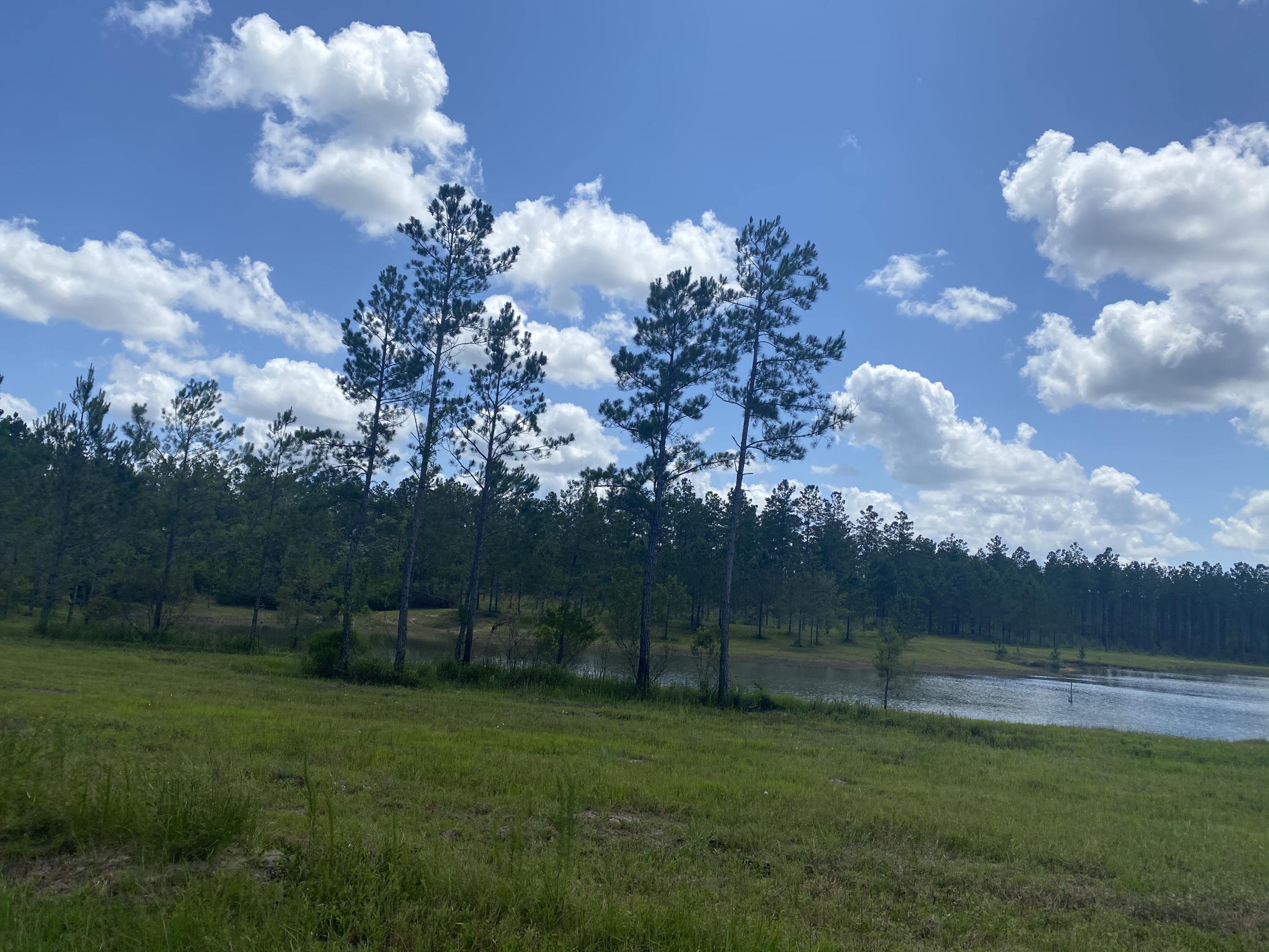 WALTON PLANTATION - Land