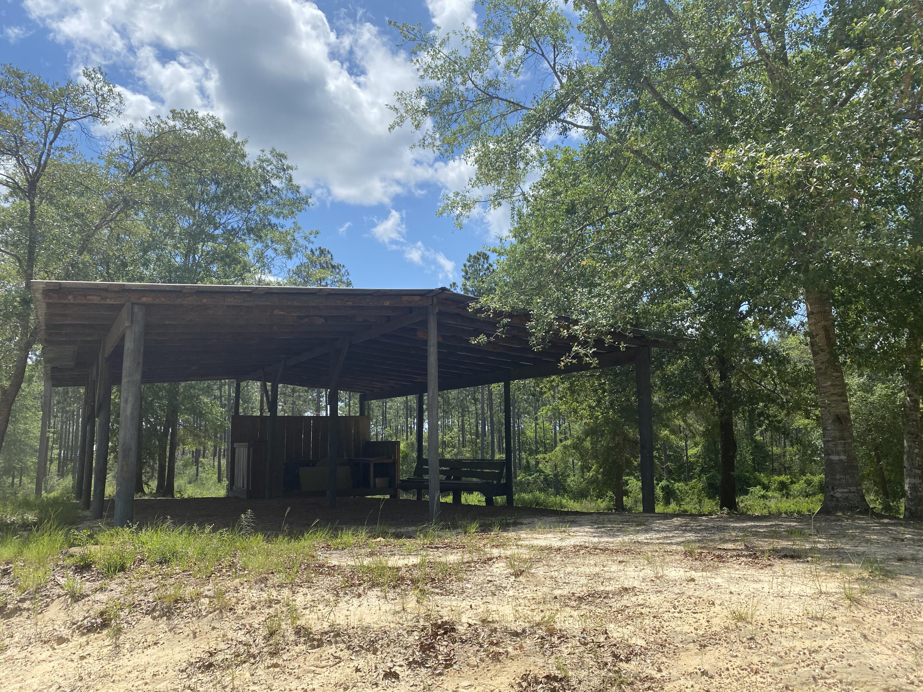 WALTON PLANTATION - Land