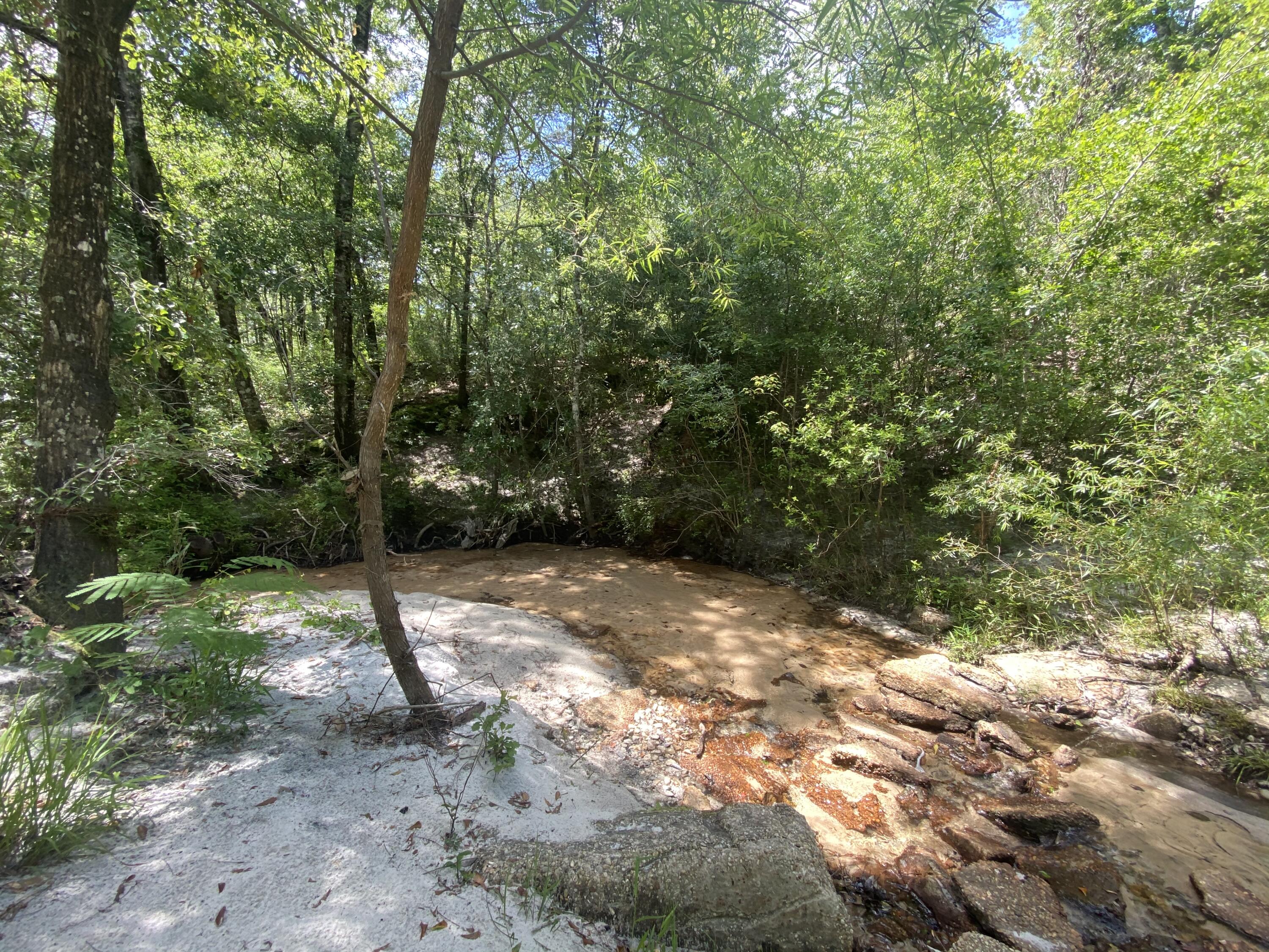 WALTON PLANTATION - Land