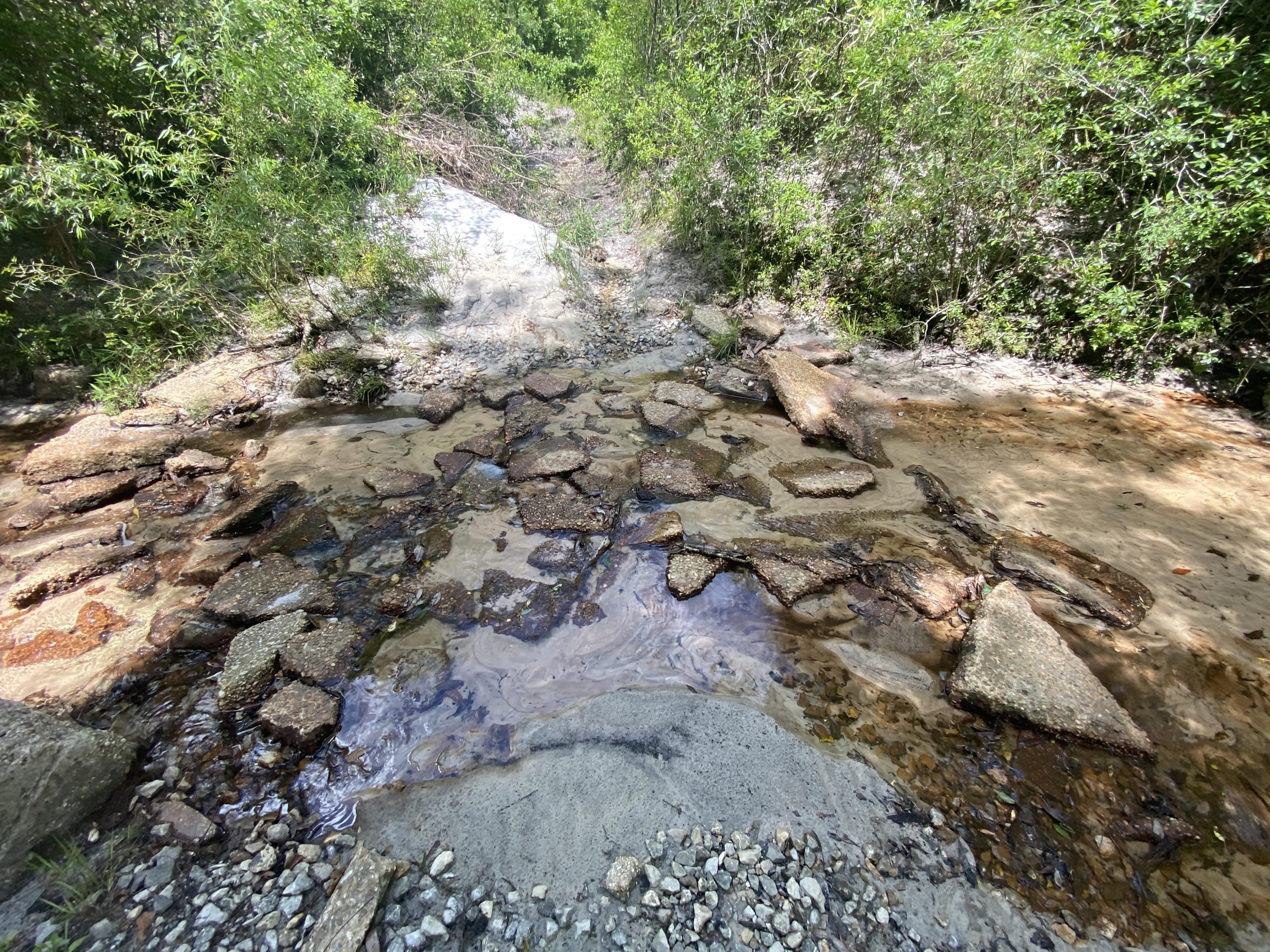 WALTON PLANTATION - Land