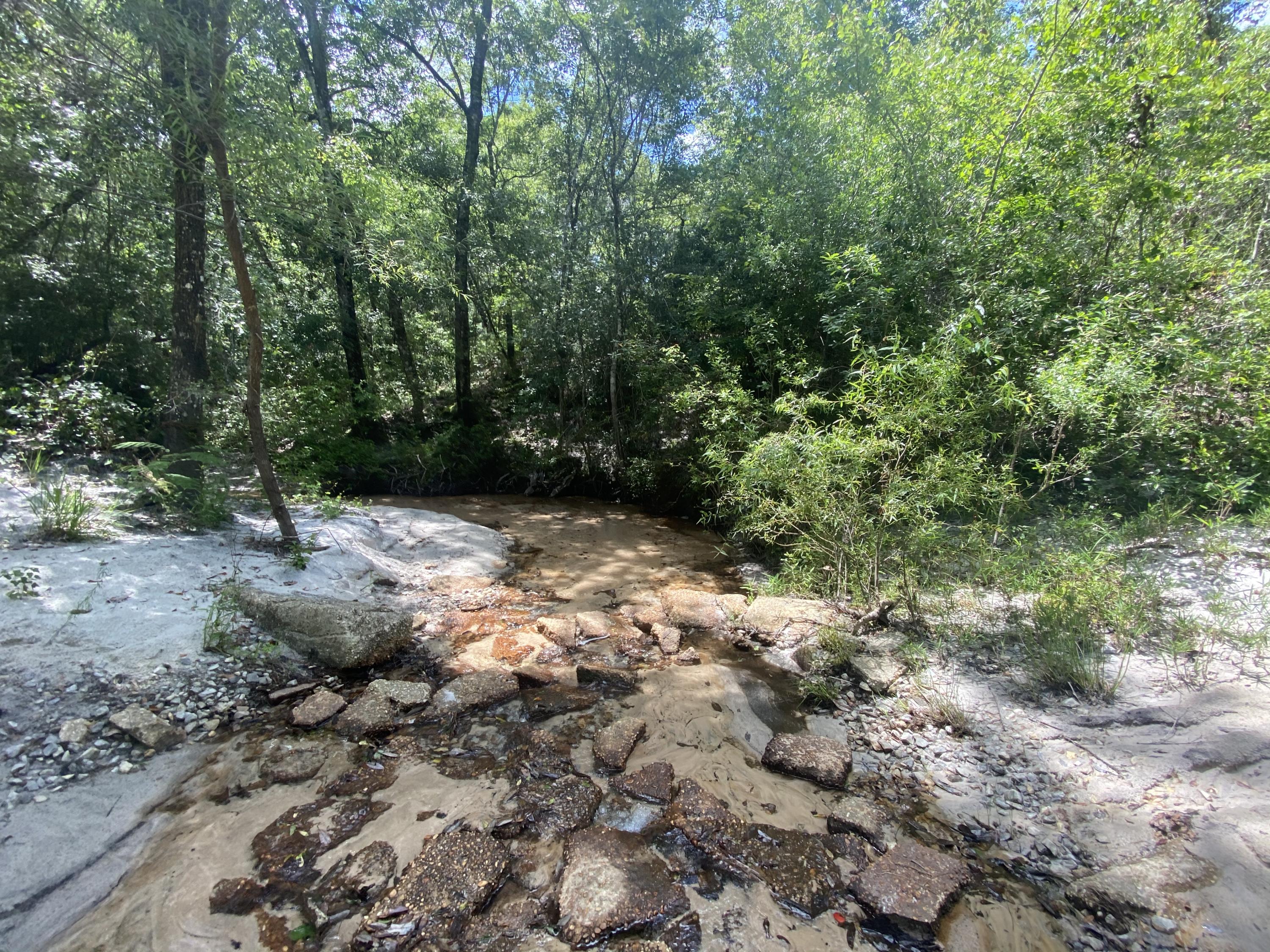 WALTON PLANTATION - Land