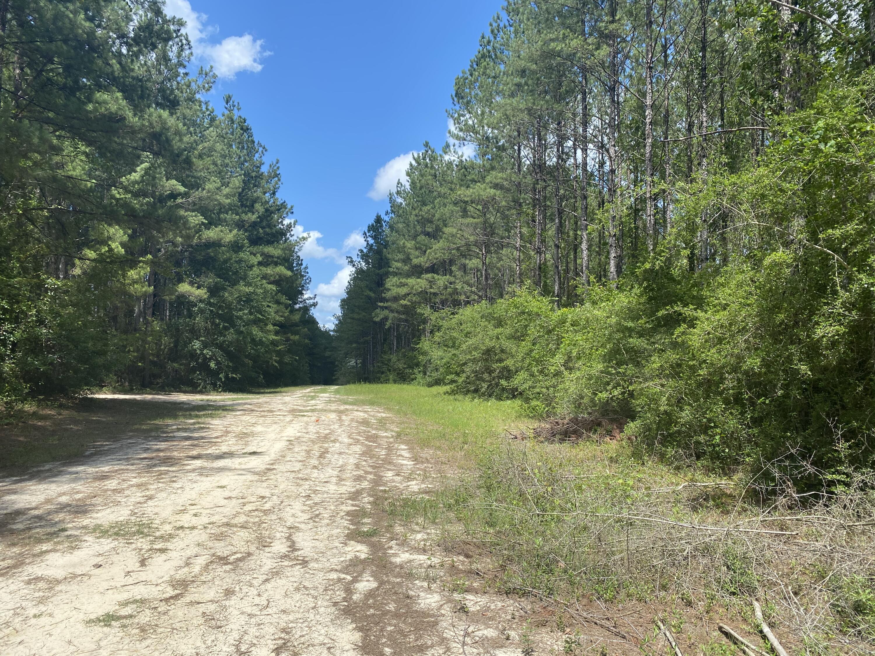 WALTON PLANTATION - Land