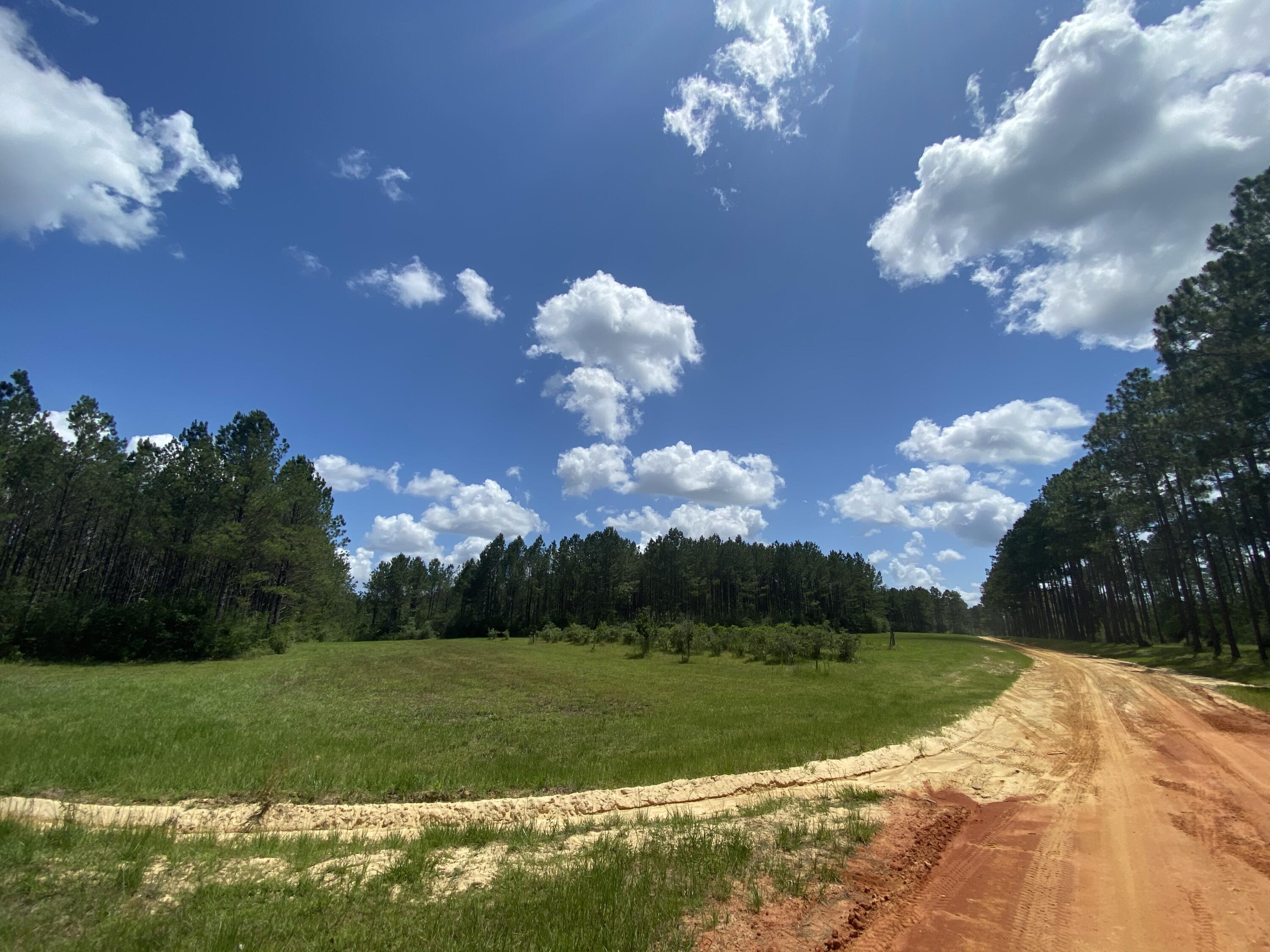 WALTON PLANTATION - Land