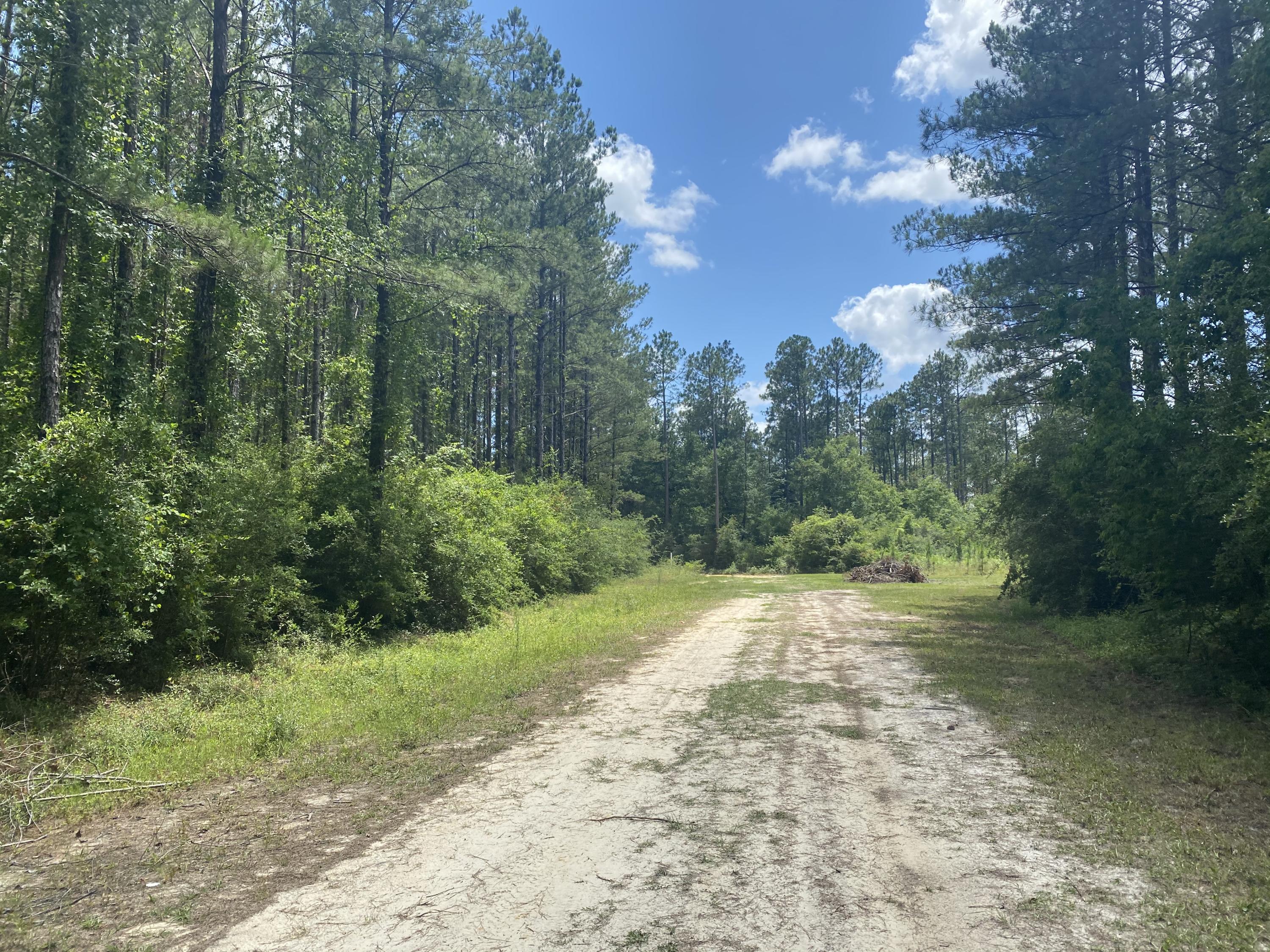 WALTON PLANTATION - Land