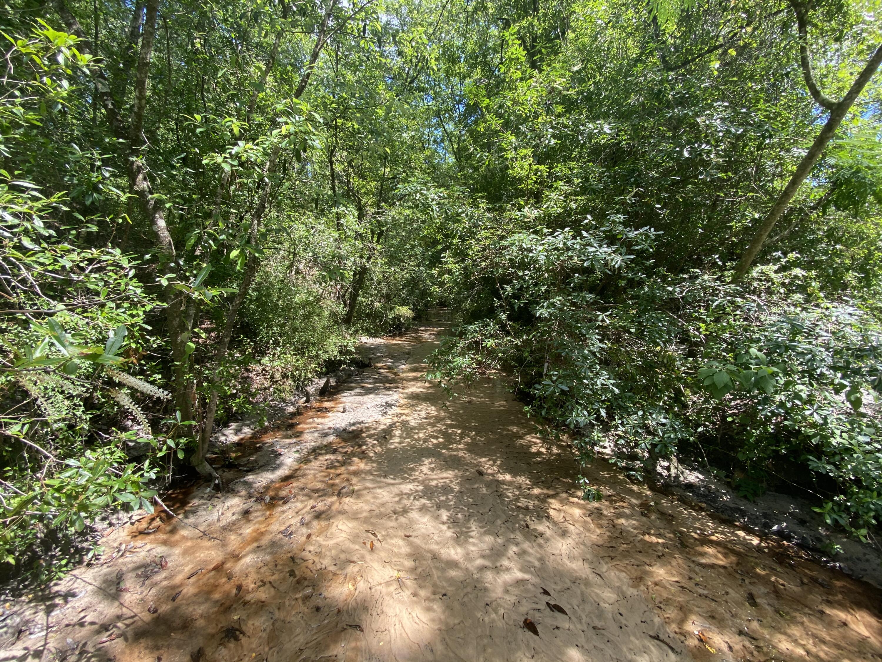 WALTON PLANTATION - Land