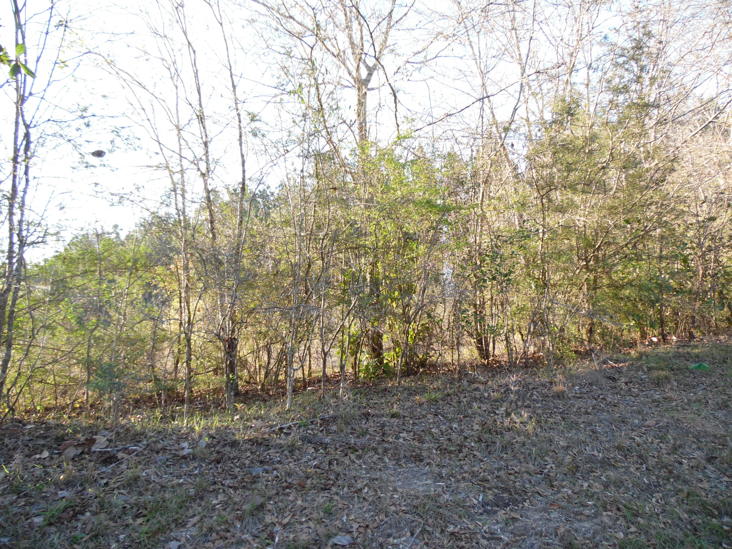 METES & BOUNDS - Land