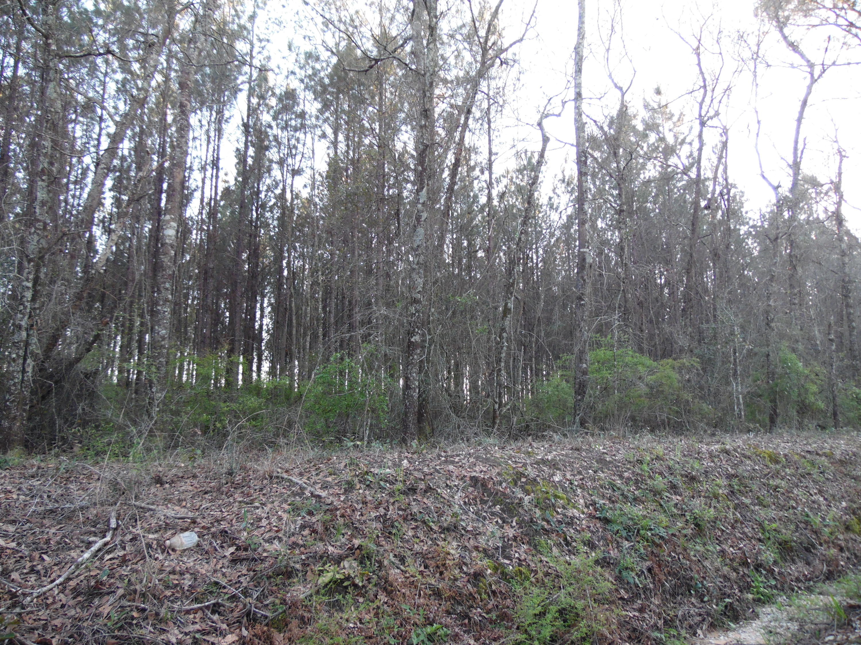 METES & BOUNDS - Land