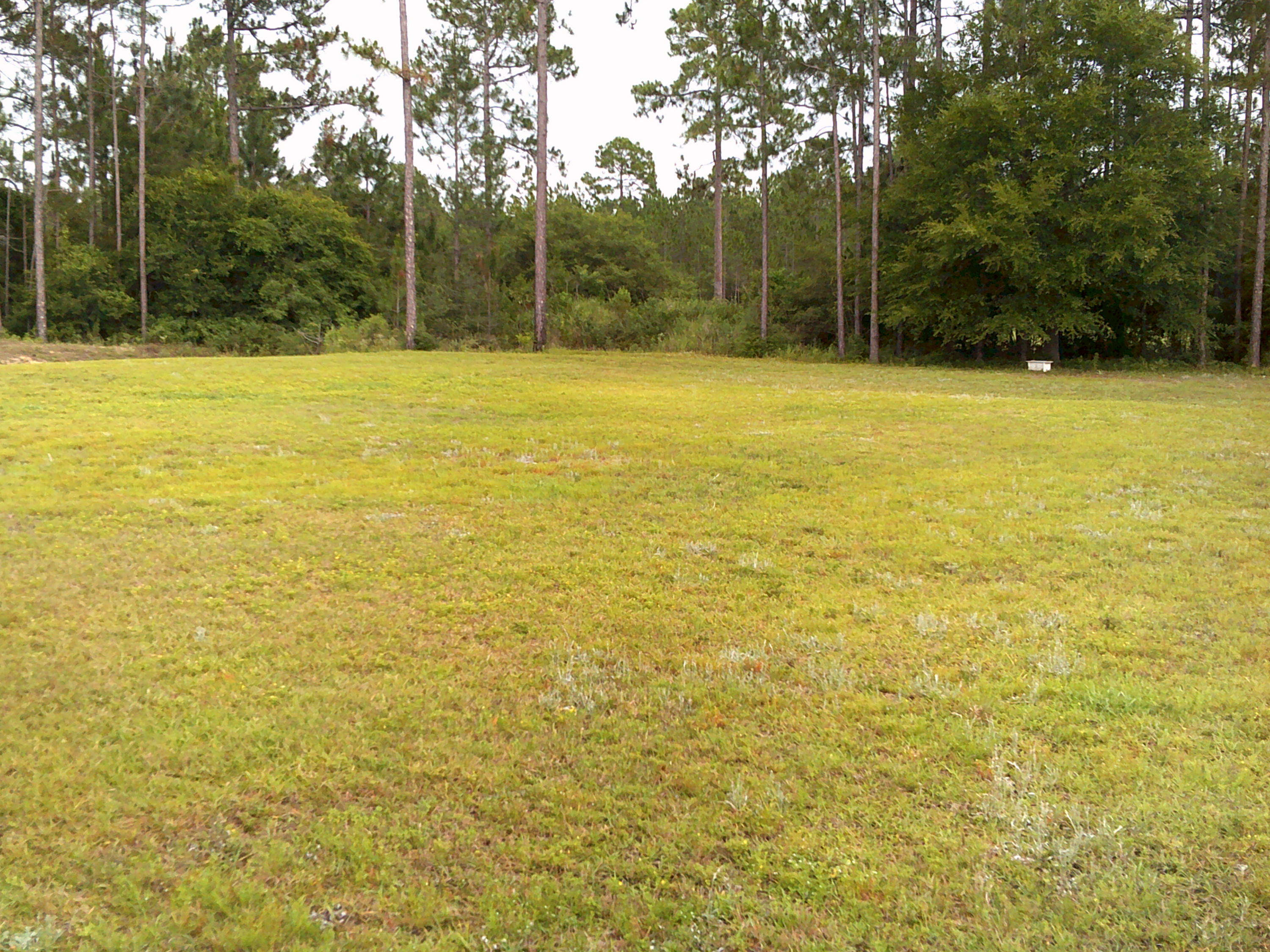 WINDSWEPT ESTATES - Residential