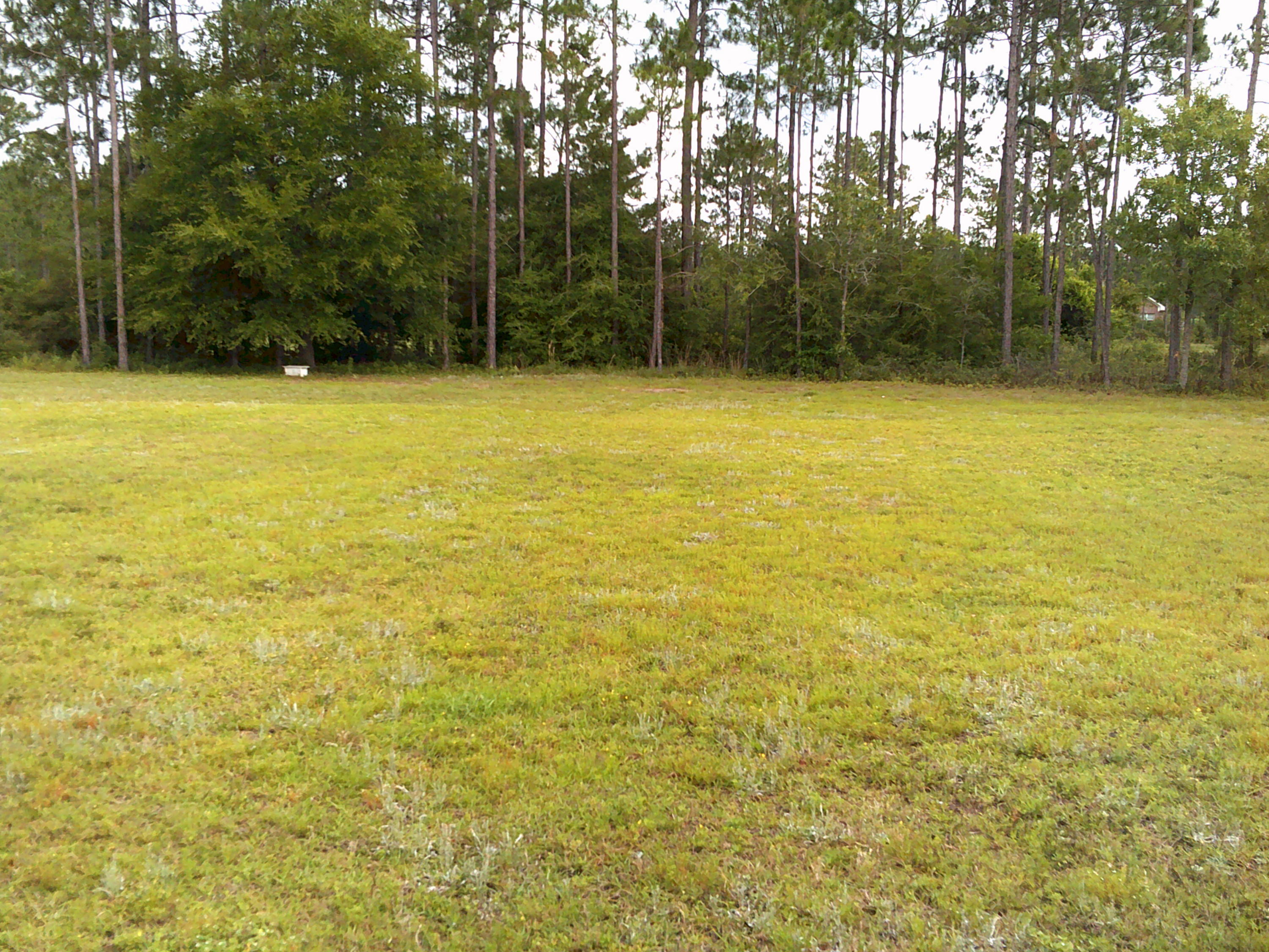 WINDSWEPT ESTATES - Residential