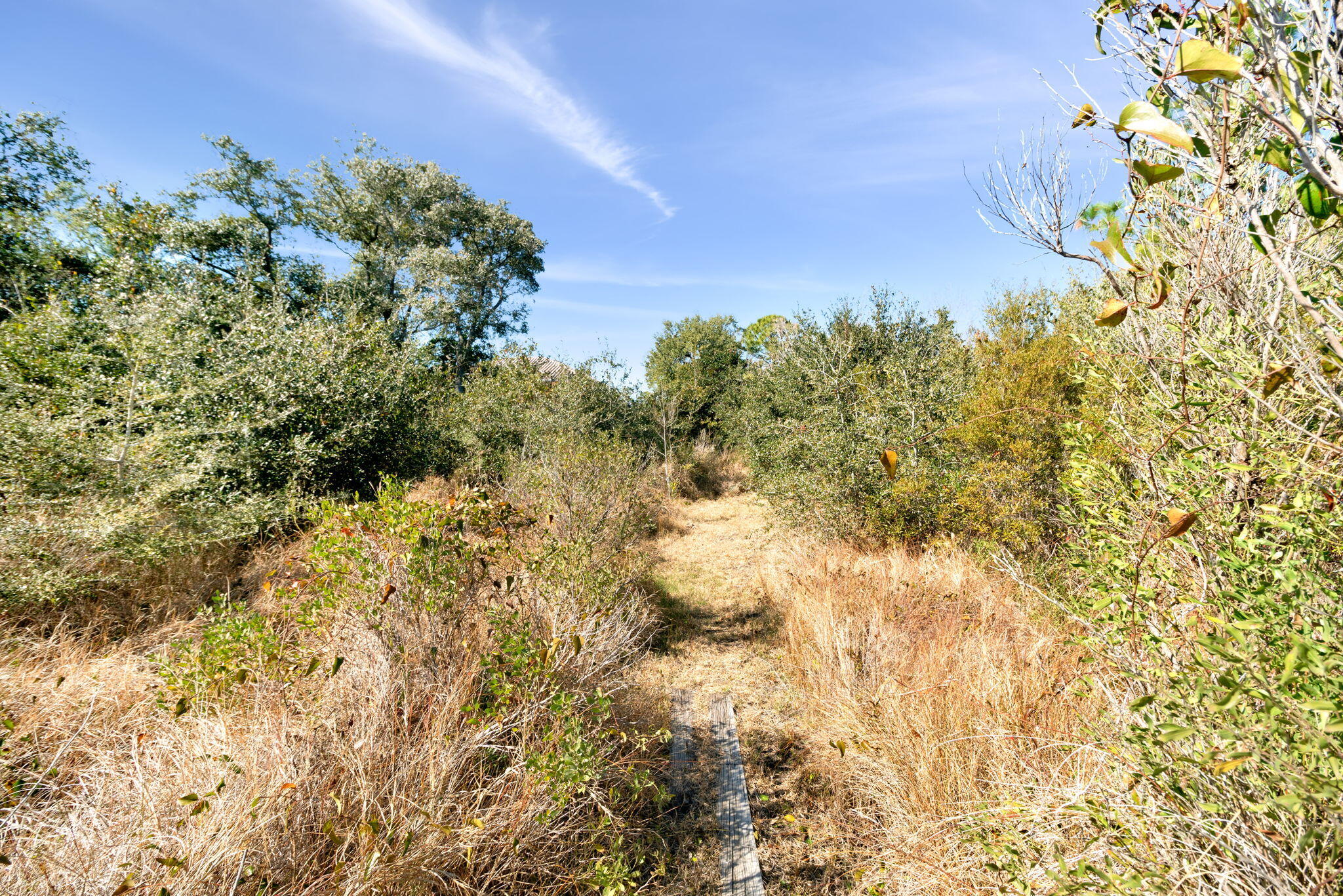 DEER POINT COVE - Residential