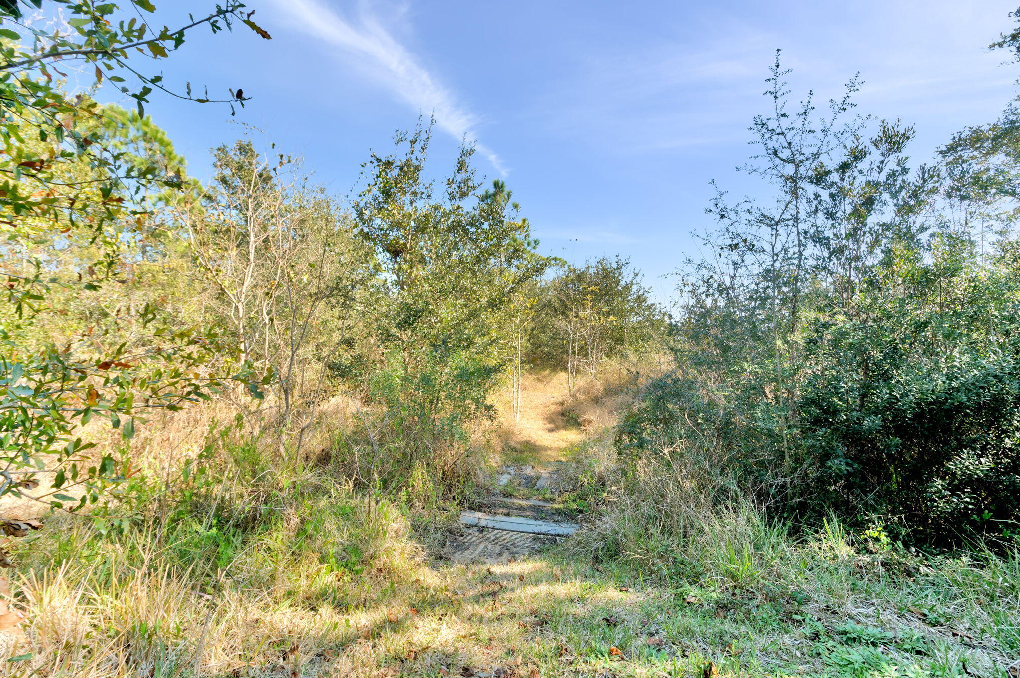 DEER POINT COVE - Residential