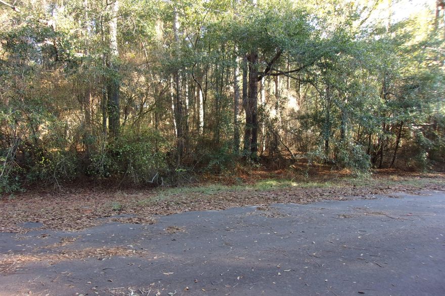Level lot on paved road located in the middle of Crestview~ Wooded with water, gas and power available~