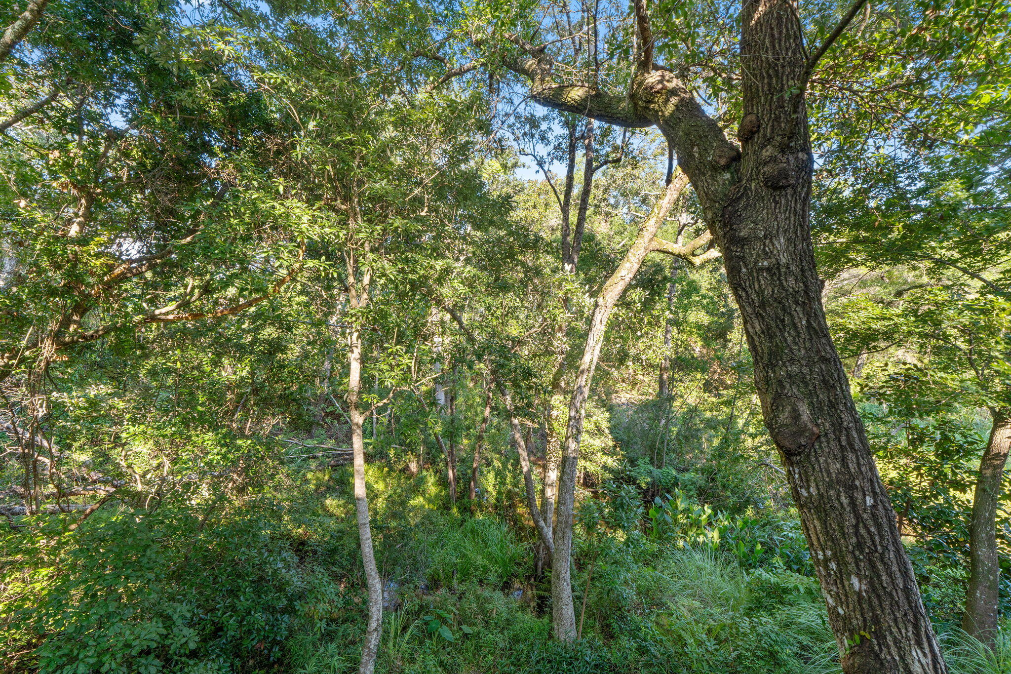 ROCKYWOOD PH 4 - Residential