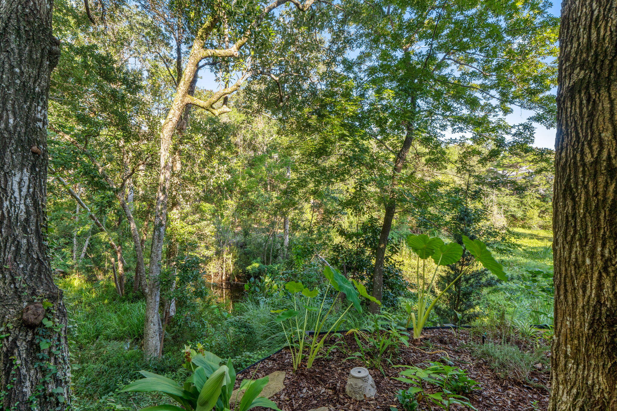 ROCKYWOOD PH 4 - Residential