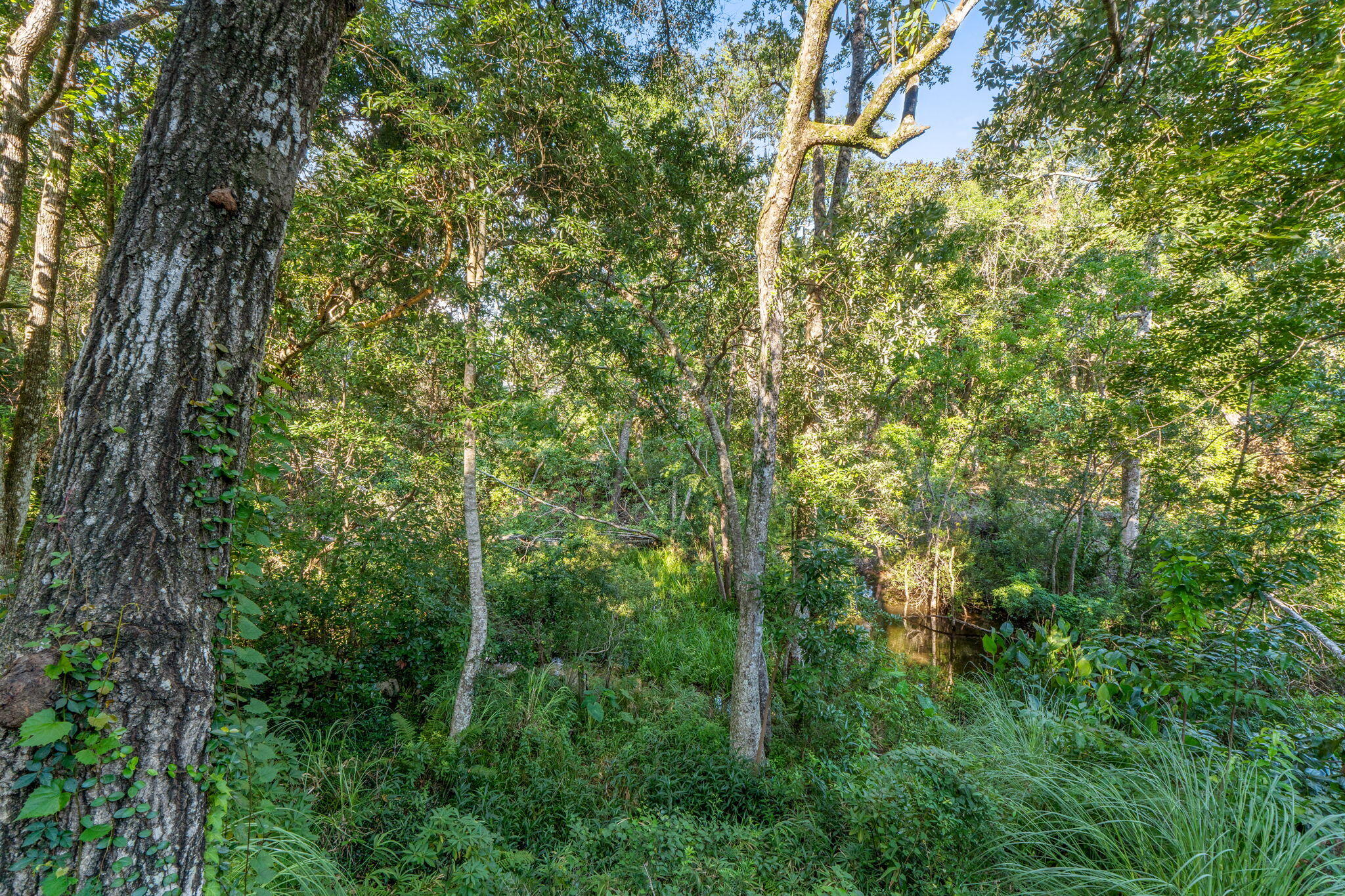 ROCKYWOOD PH 4 - Residential