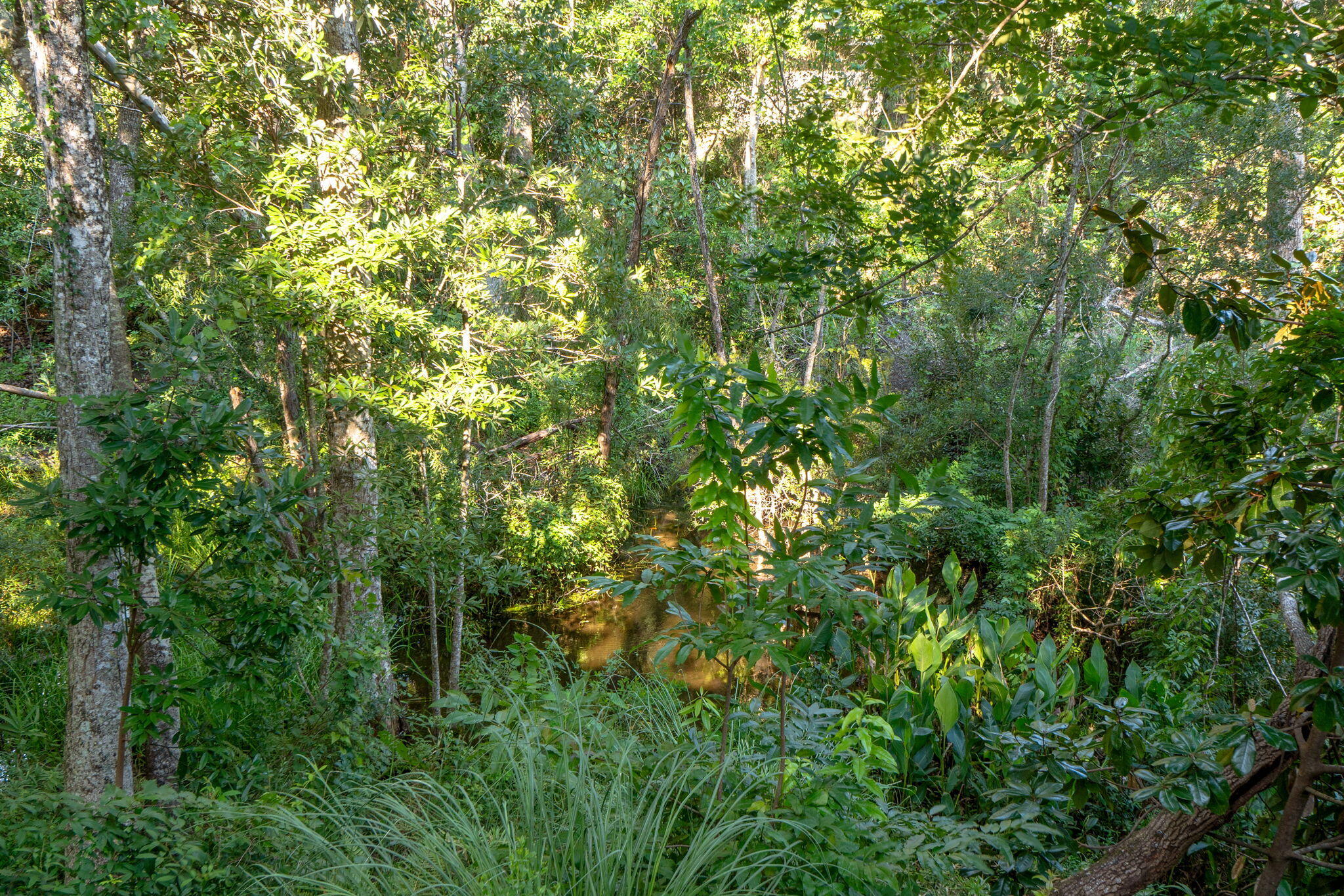 ROCKYWOOD PH 4 - Residential