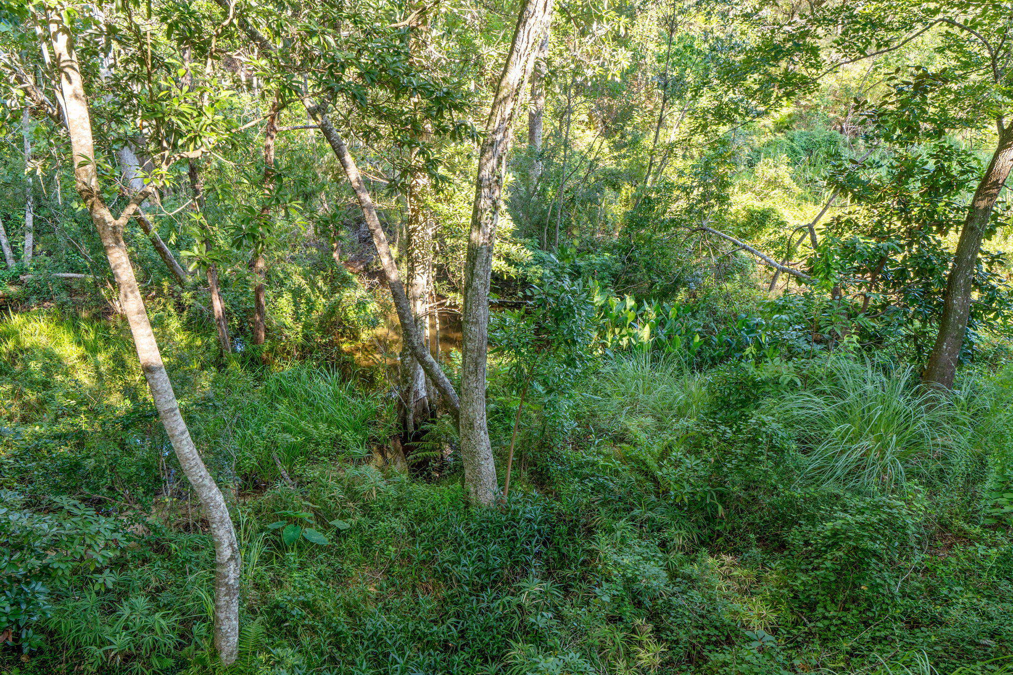 ROCKYWOOD PH 4 - Residential