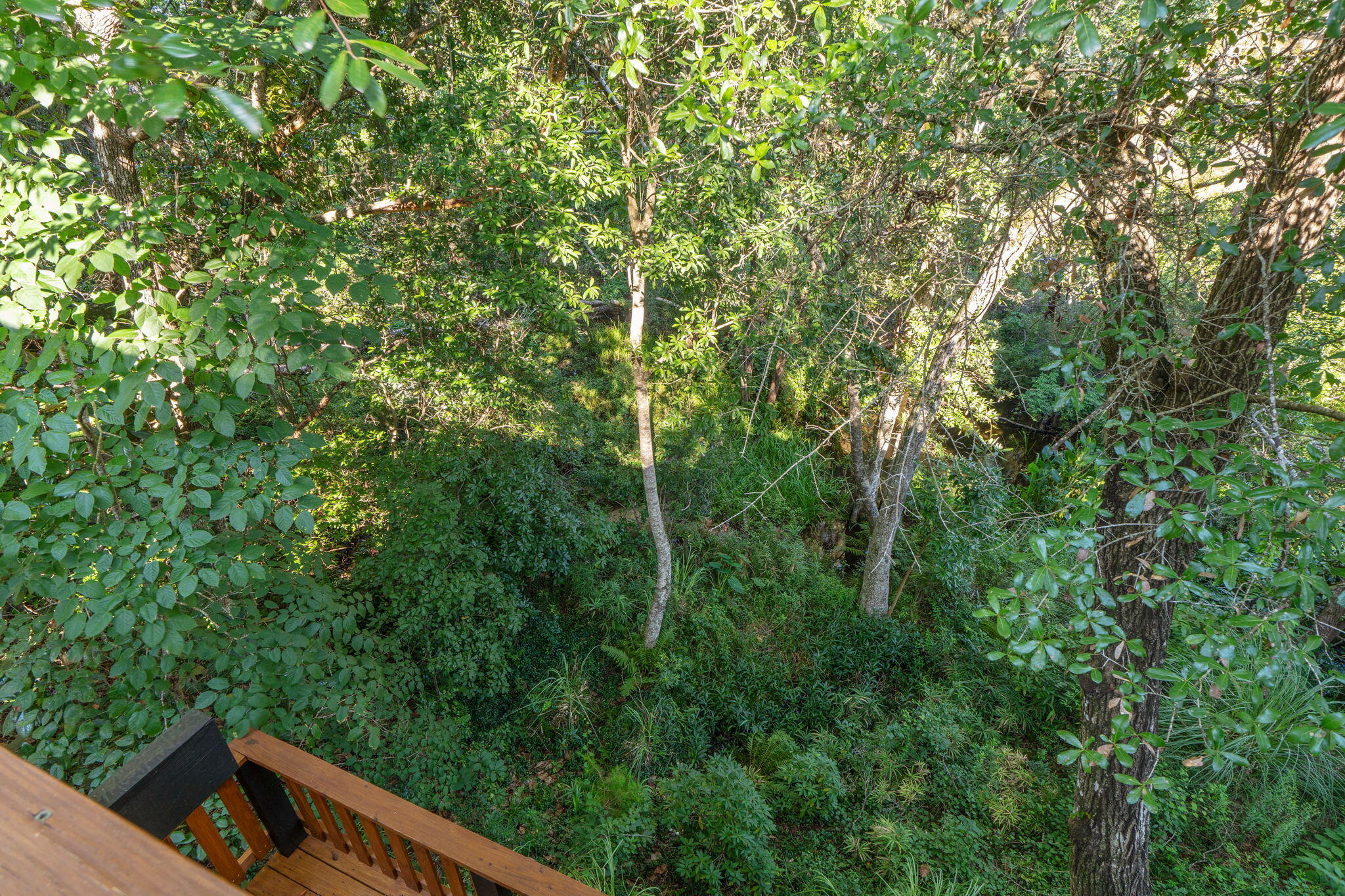 ROCKYWOOD PH 4 - Residential