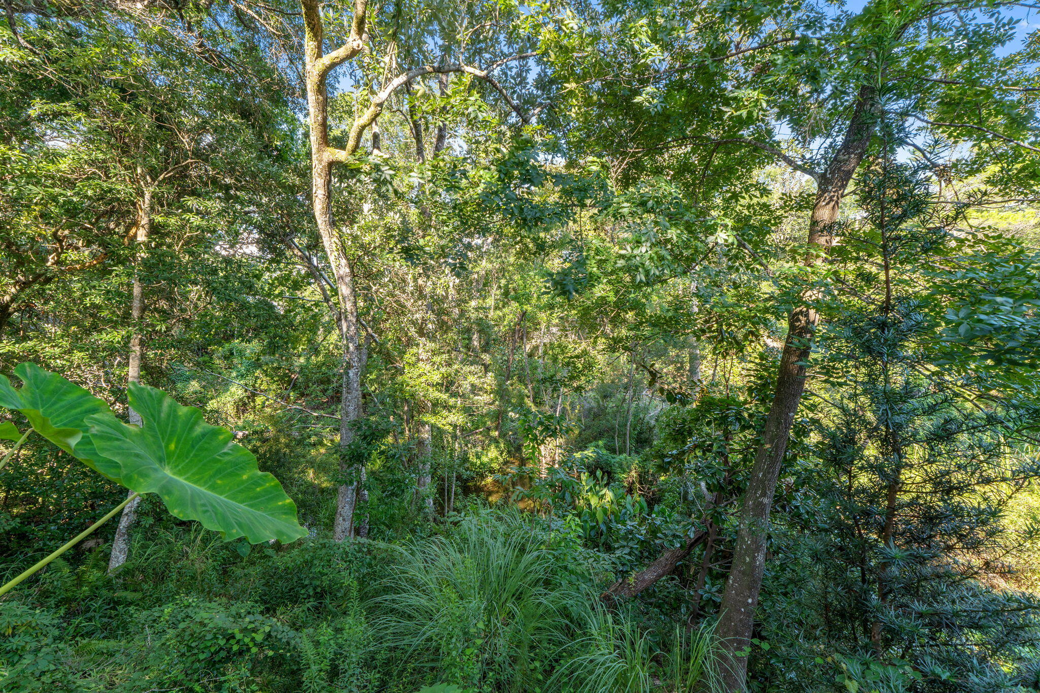 ROCKYWOOD PH 4 - Residential